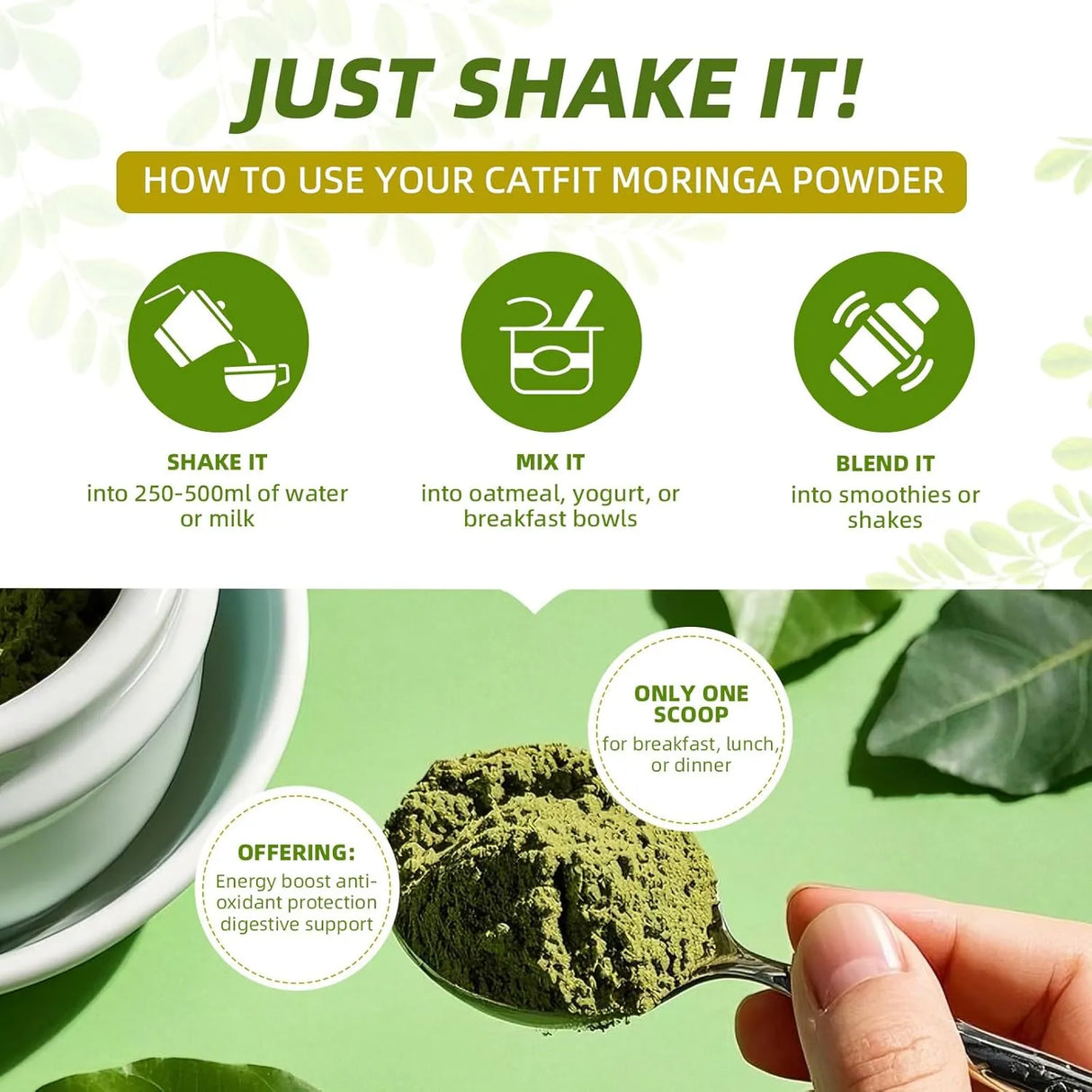 CATFIT - Catfit Moringa Powder 75 Servicios 227Gr. - The Red Vitamin MX - Suplementos Alimenticios - {{ shop.shopifyCountryName }}