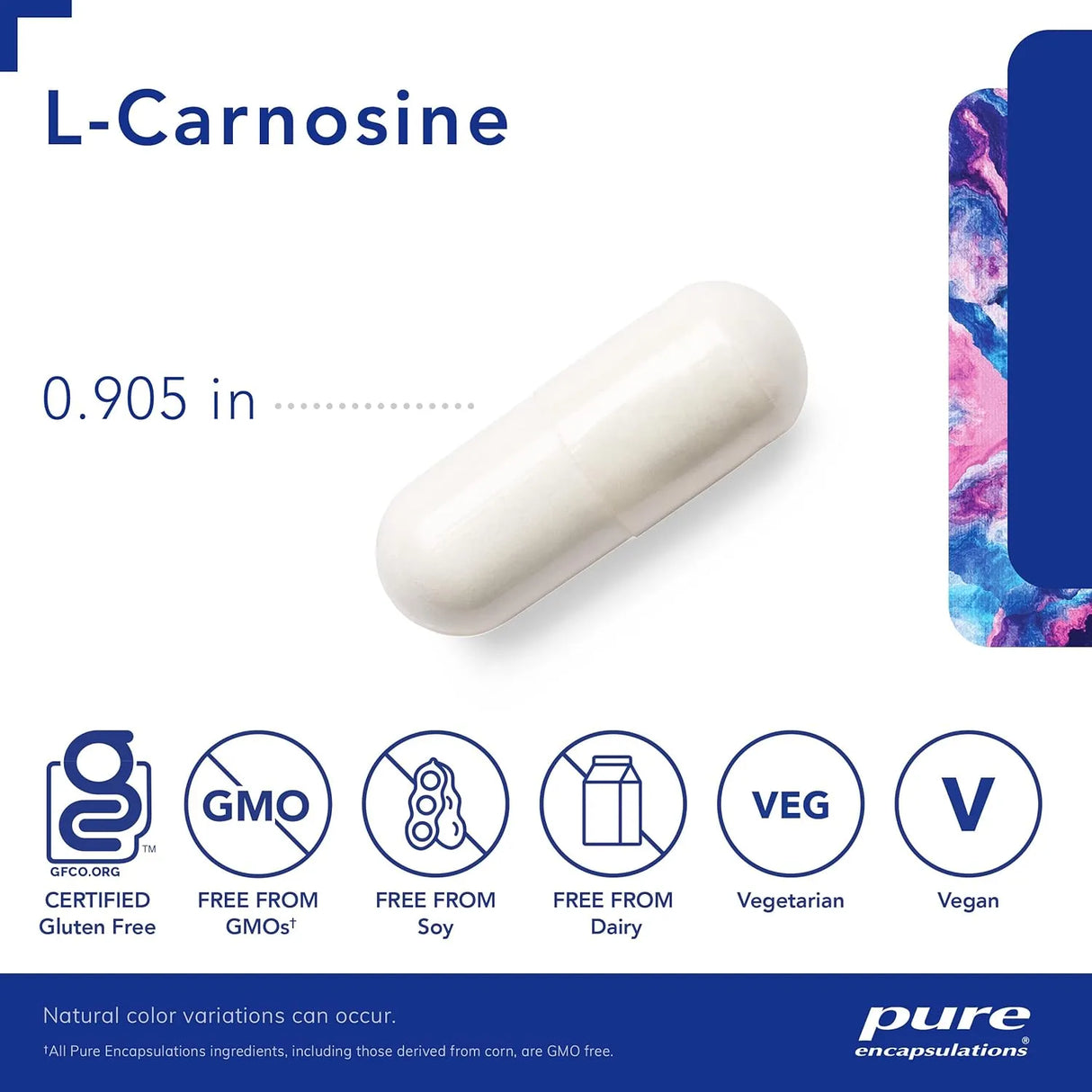 PURE ENCAPSULATIONS - Pure Encapsulations L-Carnosine 60 Capsulas - The Red Vitamin MX - Suplementos Alimenticios - {{ shop.shopifyCountryName }}
