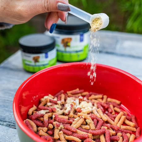 ZENAPET - ZENAPET Allergy Immune Support Supplement for Dogs 70Gr. - The Red Vitamin MX - Suplementos Herbales Para Perros - {{ shop.shopifyCountryName }}