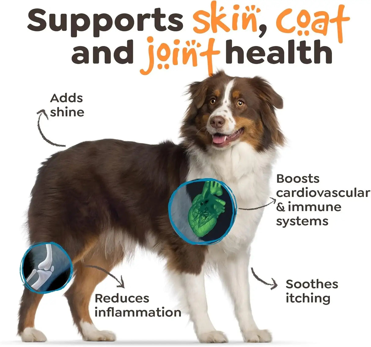 SIMPLY NATURAL - Simply Natural Salmon Oil for Dogs and Cats 10 Fl.Oz. - The Red Vitamin MX - Aceite De Pescado Para Perros - {{ shop.shopifyCountryName }}