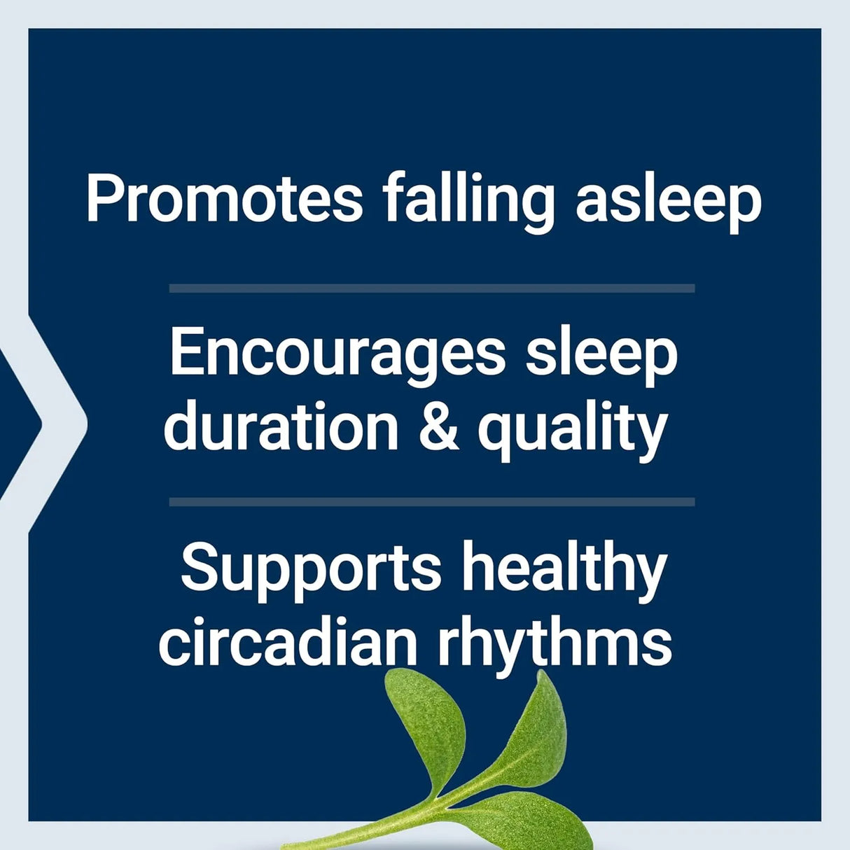 LIFE EXTENSION - Life Extension Quiet Sleep Melatonin 5Mg. 60 Capsulas - The Red Vitamin MX - Suplementos Alimenticios - {{ shop.shopifyCountryName }}