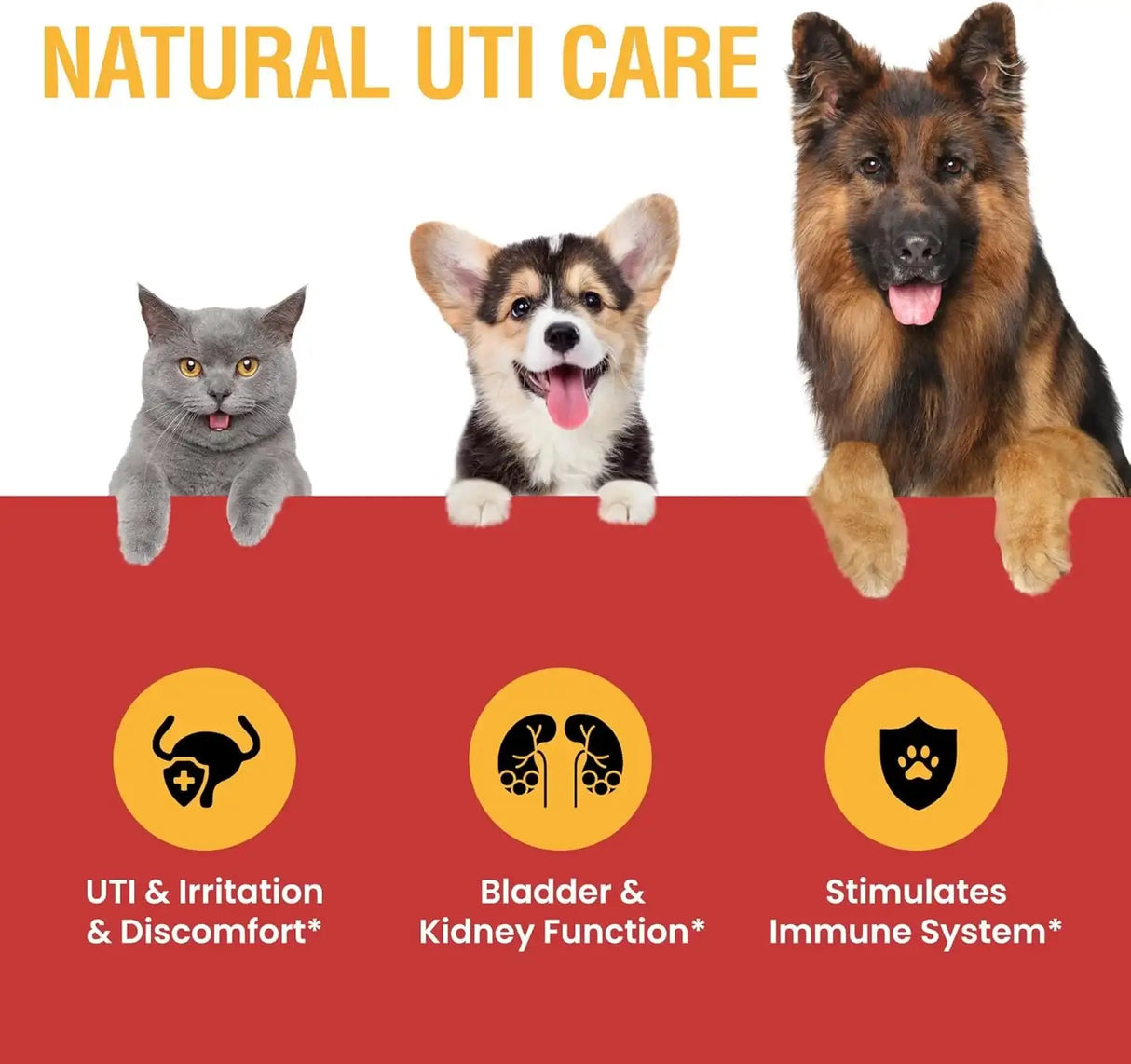SPECIAL BREED - Special Breed Urinary Tract Infection Treatment for Cats and Dogs 8 Fl.Oz. - The Red Vitamin MX - Salud De Tracto Urinario Para Perros - {{ shop.shopifyCountryName }}