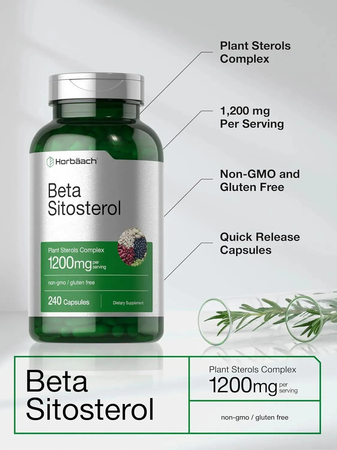 HORBAACH - Horbaach Beta Sitosterol 1200Mg. 240 Capsulas - The Red Vitamin MX - Suplementos Alimenticios - {{ shop.shopifyCountryName }}