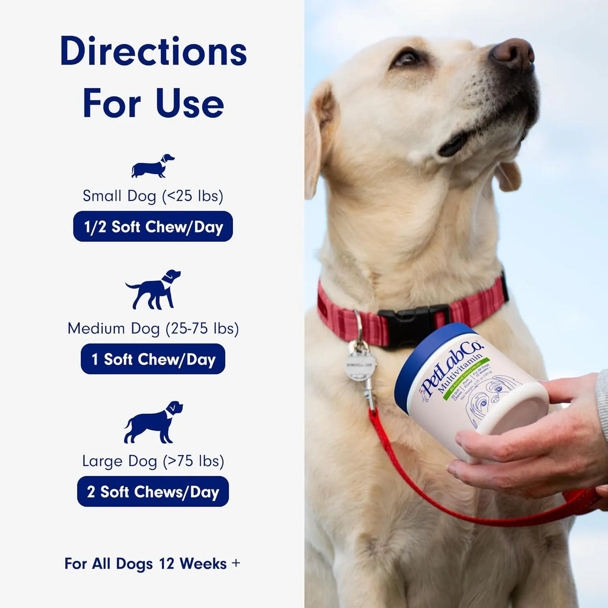 PETLAB CO. - PetLab Co. 22 in 1 Dog Multivitamin Chewable Pork Flavor 30 Masticables - The Red Vitamin MX - Multivitamínicos Para Perros - {{ shop.shopifyCountryName }}