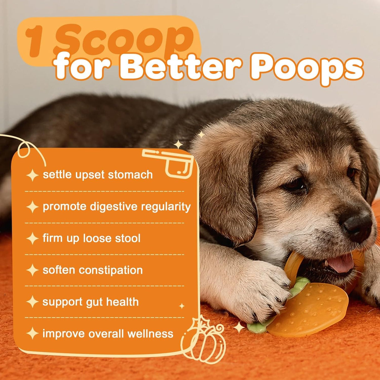 ZEBORA Pumpkin for Dogs 60 Servicios 300Gr.