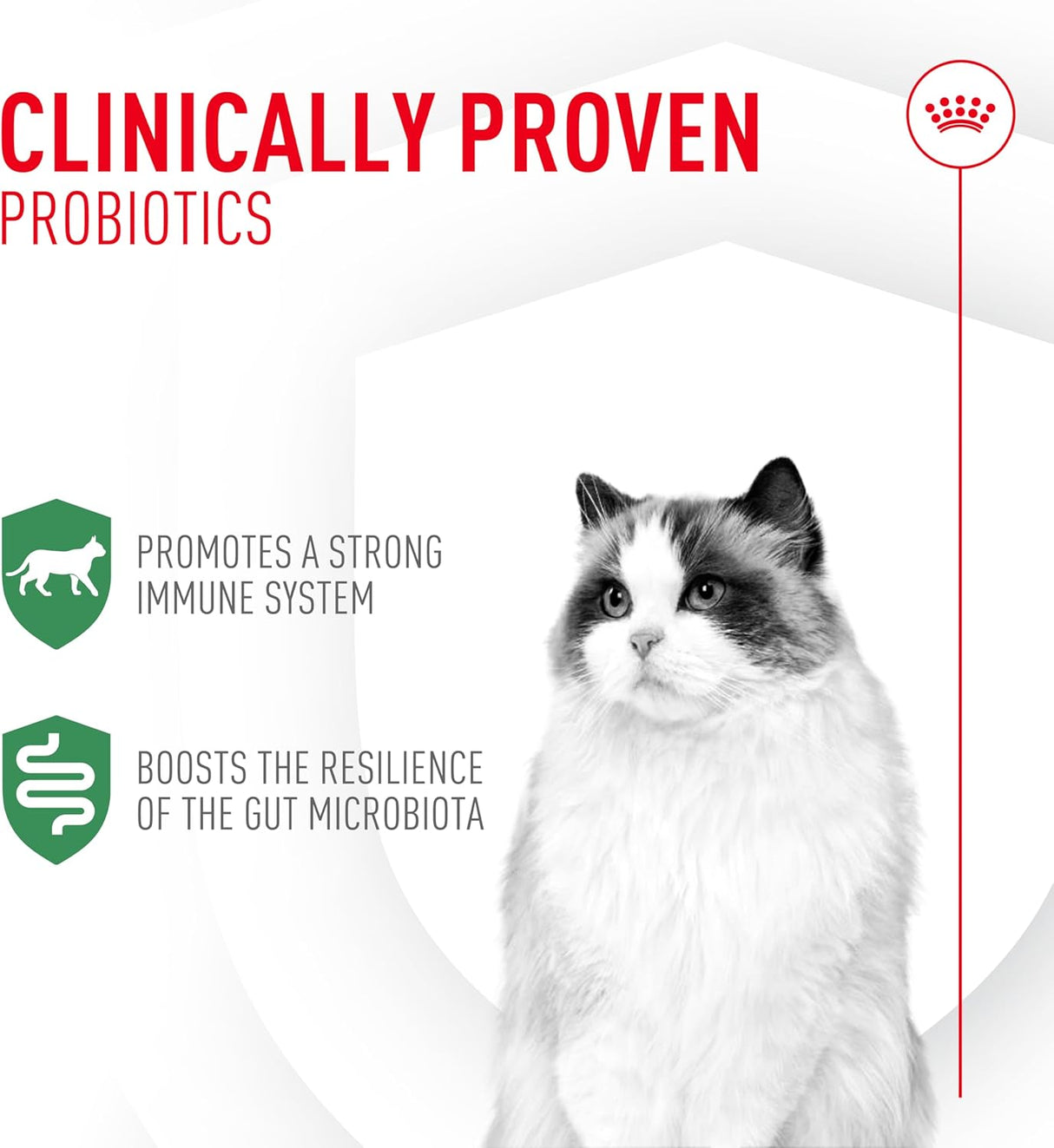 Royal Canin Probiotics for Cats Digestive and Immune Health Powder 30 Paquetes