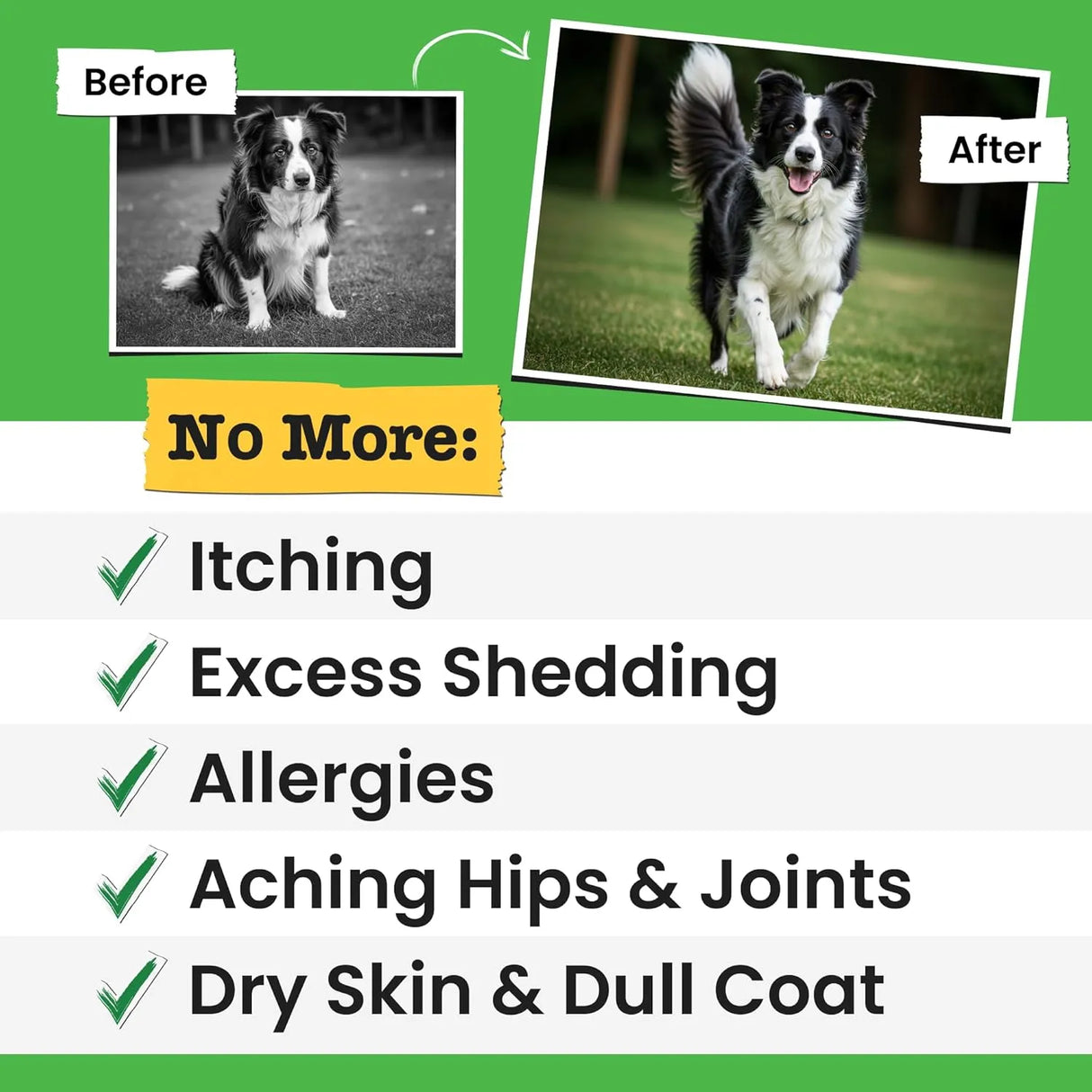 PAWSENTIAL - Pawsential Omega 3 Fish Oil for Dogs & Cats 8 Fl.Oz. - The Red Vitamin MX - Aceite De Pescado Para Perros - {{ shop.shopifyCountryName }}