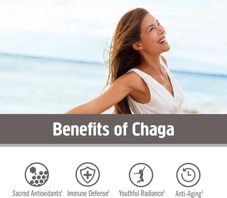 OM - Om Mushroom Superfood Chaga Organic Mushroom Powder 200Gr. - The Red Vitamin MX - Suplementos Alimenticios - {{ shop.shopifyCountryName }}