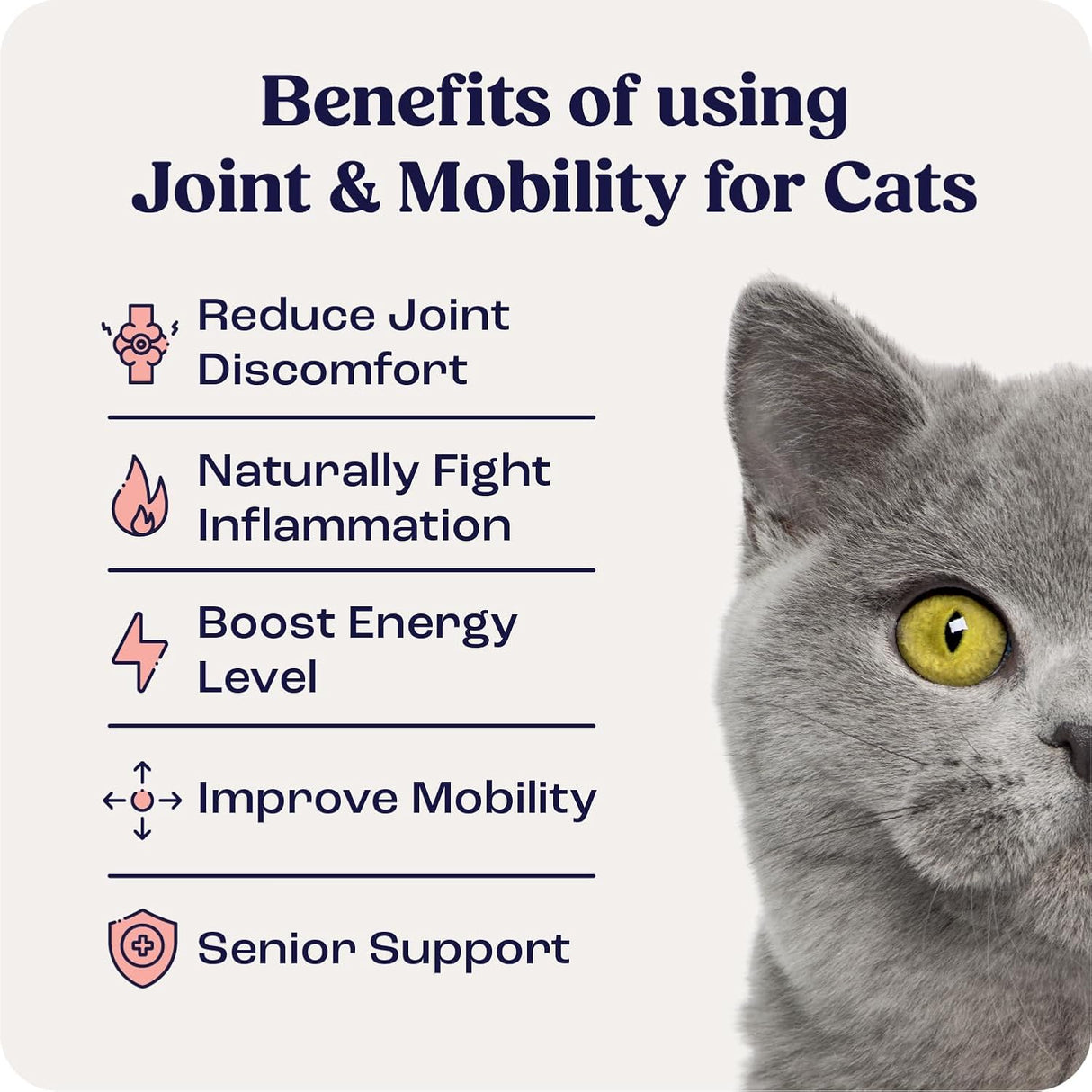 Summit Feline Pain Relief Supplement Inflammation Hip & Joint Support Vitamin for Cats 6Ml.