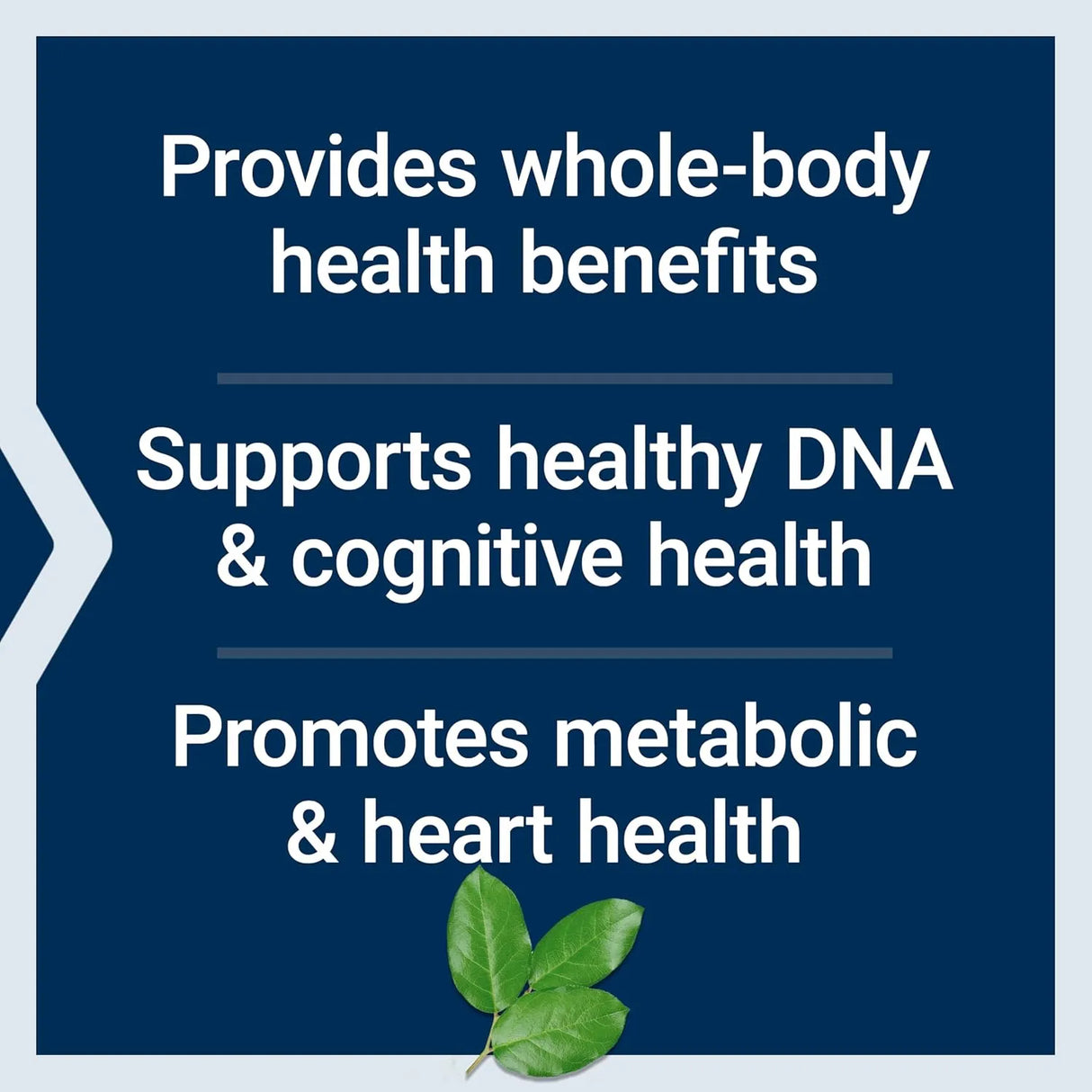 LIFE EXTENSION - Life Extension Mix 360 Capsulas - The Red Vitamin MX - Suplementos Alimenticios - {{ shop.shopifyCountryName }}