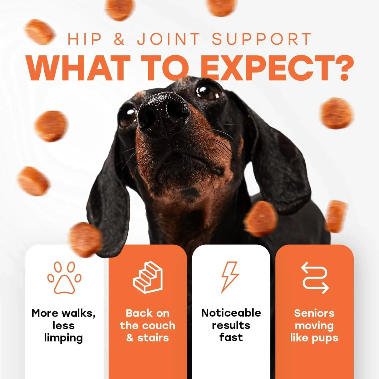PUP CHOICE - Pup Choice Hip & Joint Support Treats for Dogs Beef Flavor 140 Masticables - The Red Vitamin MX - Cuidado De Cadera Y Articulaciones Para Perros - {{ shop.shopifyCountryName }}