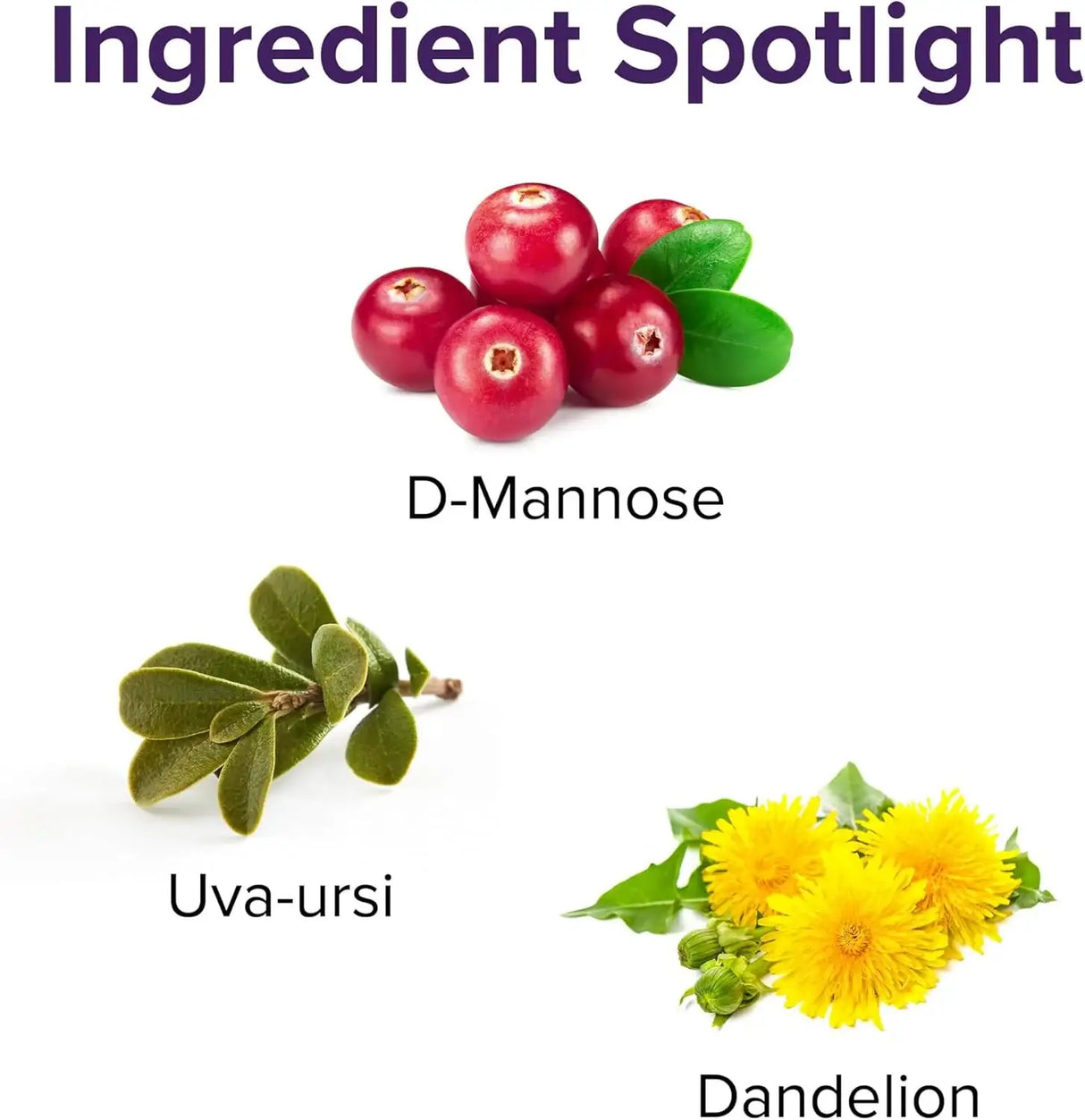 VIBRANT HEALTH - Vibrant Health U.T. Vibrance Powder 10 Servicios 58Gr. - The Red Vitamin MX - Suplementos Alimenticios - {{ shop.shopifyCountryName }}