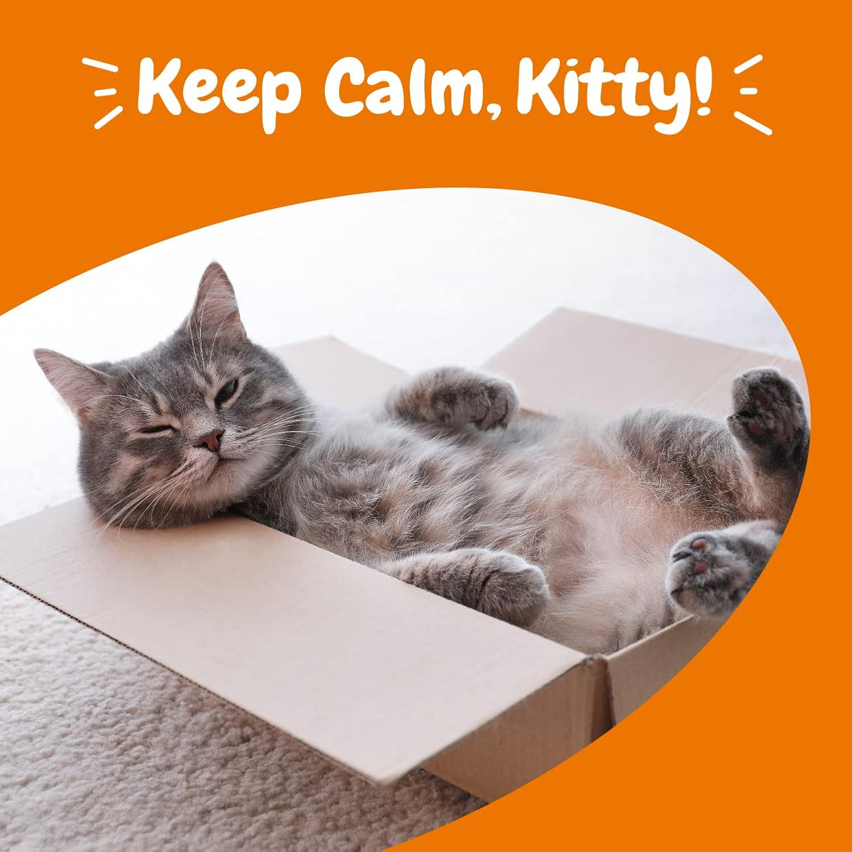 Zesty Paws Calming Chews for Cats Bacon 60 Masticables