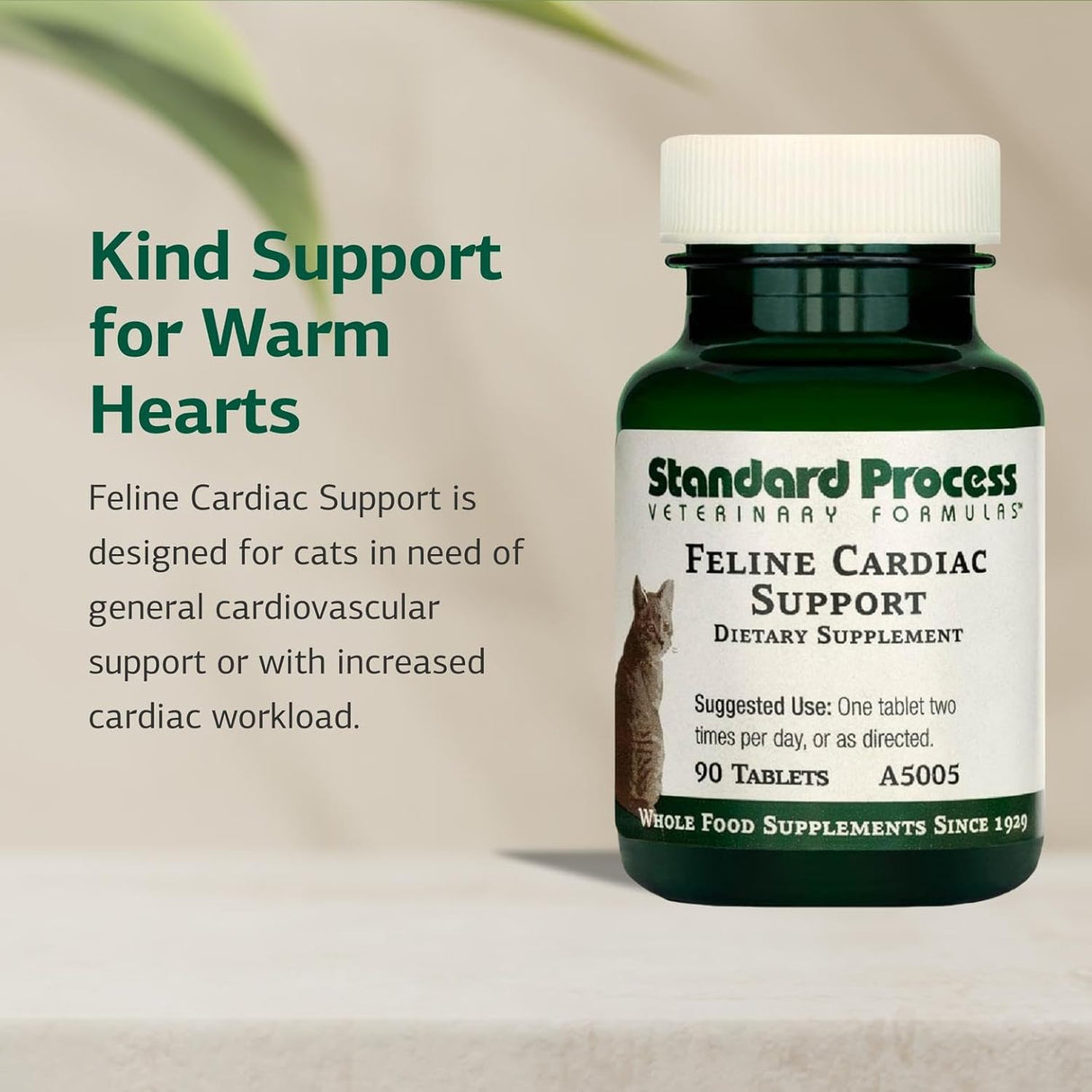 Standard Process Inc. Feline Cardiac Support 90 Tabletas