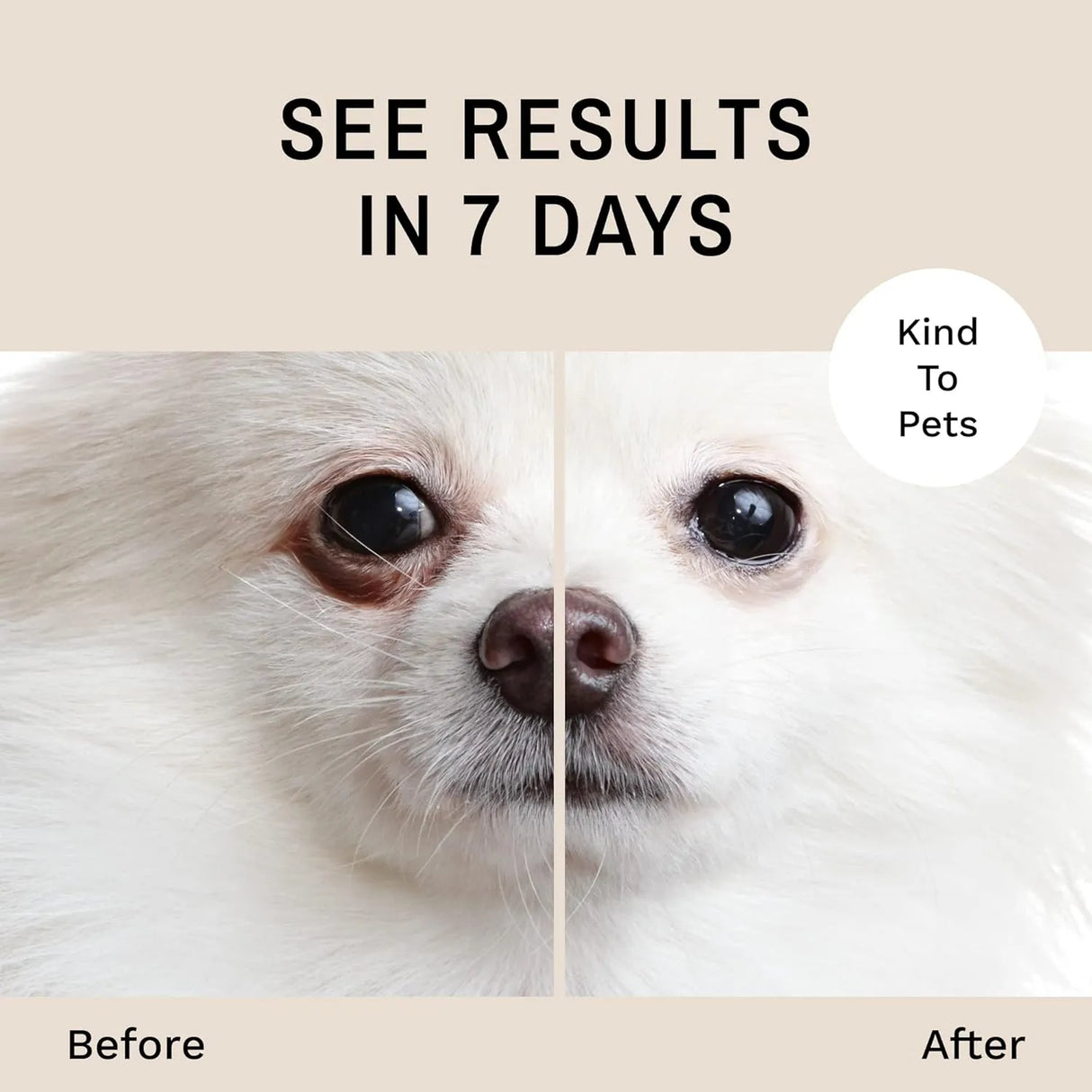 EYE ENVY - Eye Envy Tear Stain Remover Powder for Dogs and Cats 14Gr. - The Red Vitamin MX - Cuidado De Los Ojos De Los Perros - {{ shop.shopifyCountryName }}