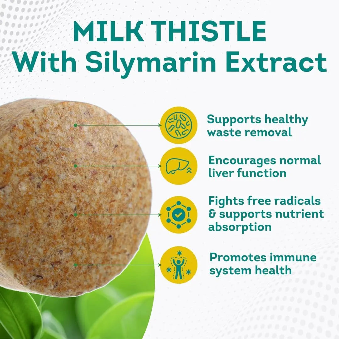 PUREPREMIUM SUPPLEMENTS - PurePremium Milk Thistle Supplement with Silymarin 450Mg. 120 Tabletas - The Red Vitamin MX - Suplementos Alimenticios - {{ shop.shopifyCountryName }}