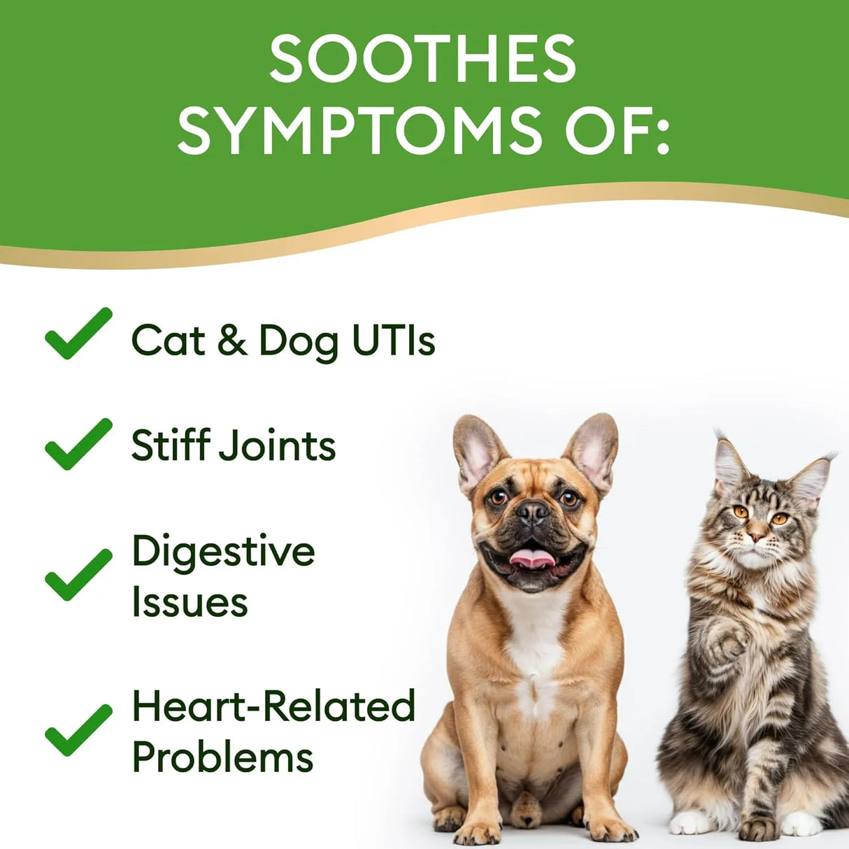 NATURAL PET SUPPLEMENTS - Natural Pet Supplements 15-in-1 Liquid Multivitamin for Dogs & Cats 2 Fl.Oz. - The Red Vitamin MX - Multivitamínicos Para Perros - {{ shop.shopifyCountryName }}