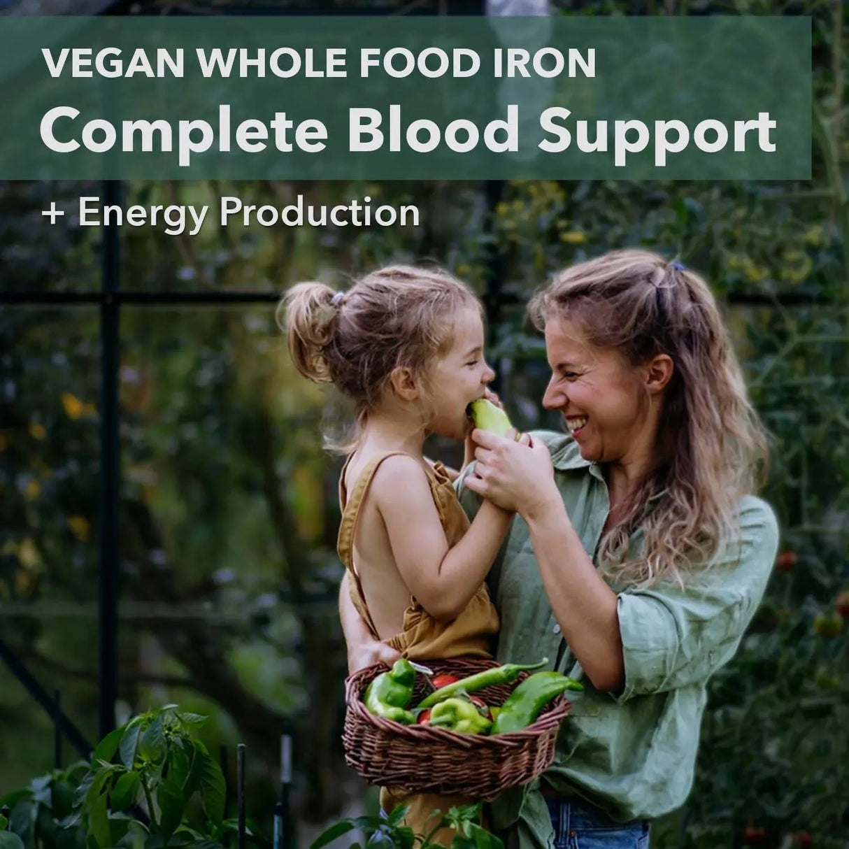 PLANTFUSION - PlantFusion Blood Support Iron with Vitamin C, Methyl B12, Folate 60 Capsulas - The Red Vitamin MX - Suplementos Alimenticios - {{ shop.shopifyCountryName }}