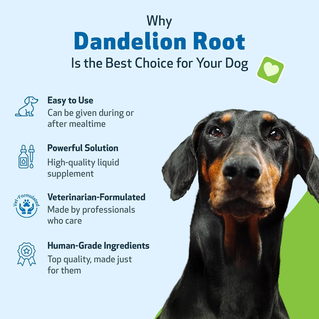 Pet Wellbeing Dandelion Root for Dogs Liver & Heart Health 4 Fl.Oz.