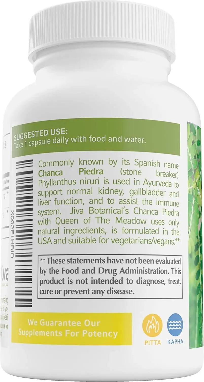 JIVA BOTANICALS - Jiva Botanicals Chanca Piedra 550Mg. 60 Capsulas - The Red Vitamin MX - Suplementos Alimenticios - {{ shop.shopifyCountryName }}