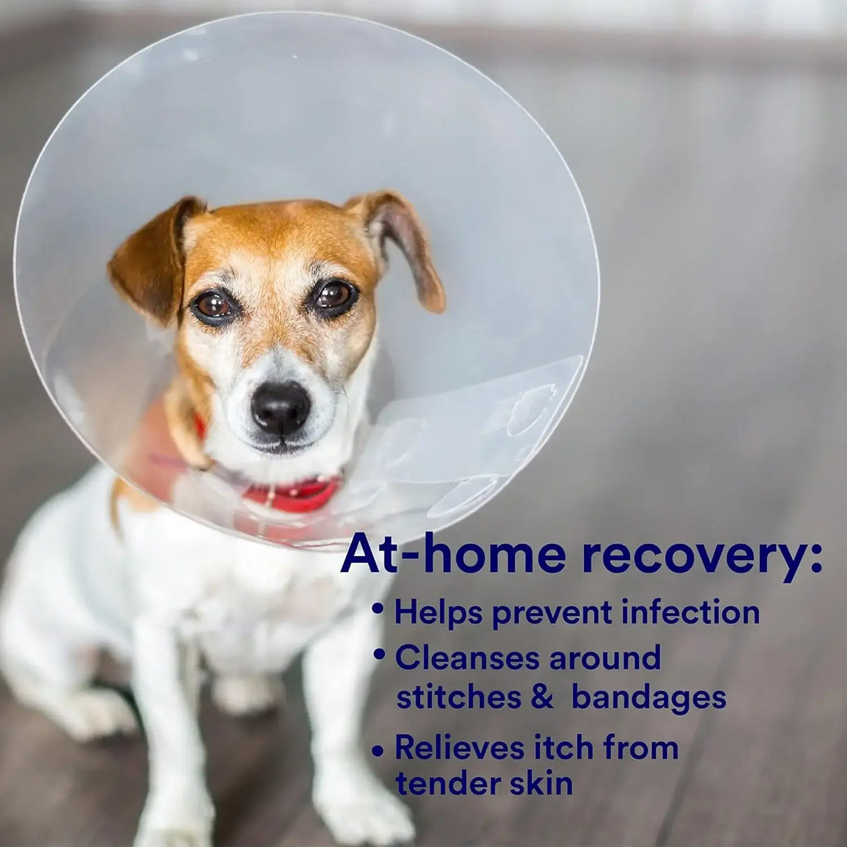 SKINSMART - SkinSmart Antimicrobial Wound Care for Pets 8 Fl.Oz. - The Red Vitamin MX - Remedios Para La Picazón De Perros - {{ shop.shopifyCountryName }}