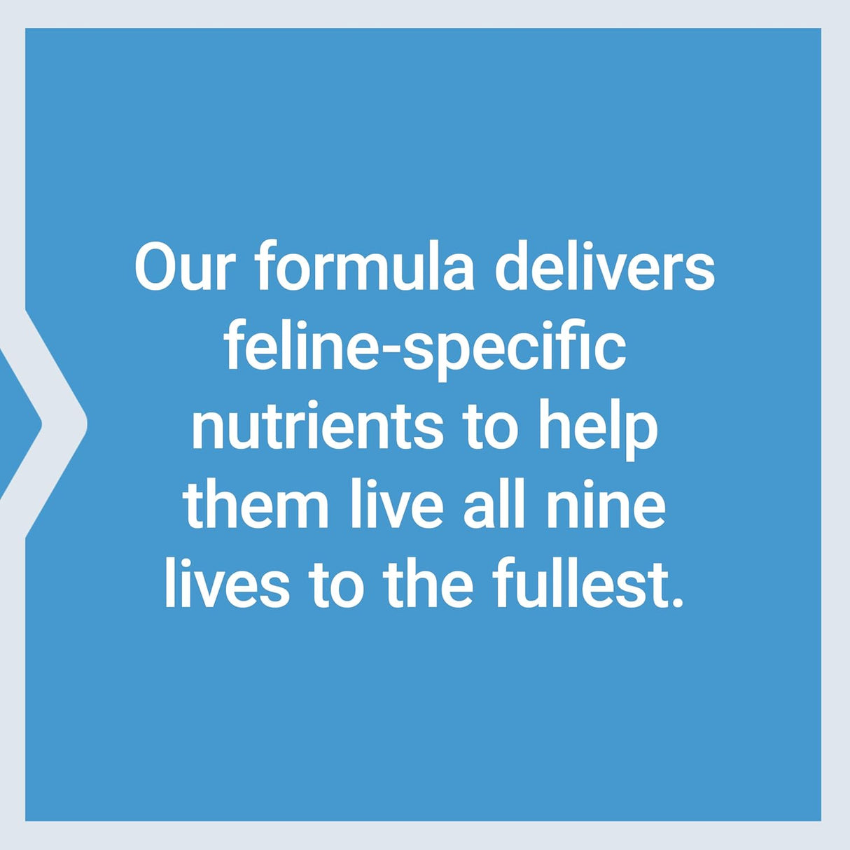 Life Extension Cat Mix 85 Servicios 100Gr.