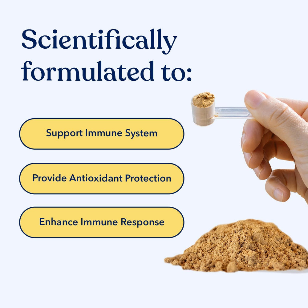 HONEST PAWS - Honest Paws Turkey Tail Mushroom for Dogs 30 Servicios 30Gr. - The Red Vitamin MX - Suplementos Herbales Para Perros - {{ shop.shopifyCountryName }}