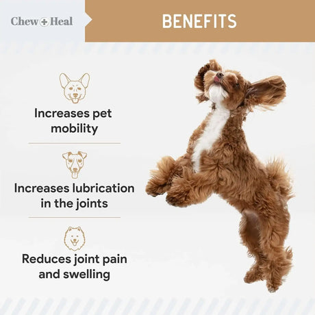 CHEW + HEAL - Chew + Heal Labs Glucosamine Hip and Joint Supplement for Dogs 90 Masticables - The Red Vitamin MX - Cuidado De Cadera Y Articulaciones Para Perros - {{ shop.shopifyCountryName }}
