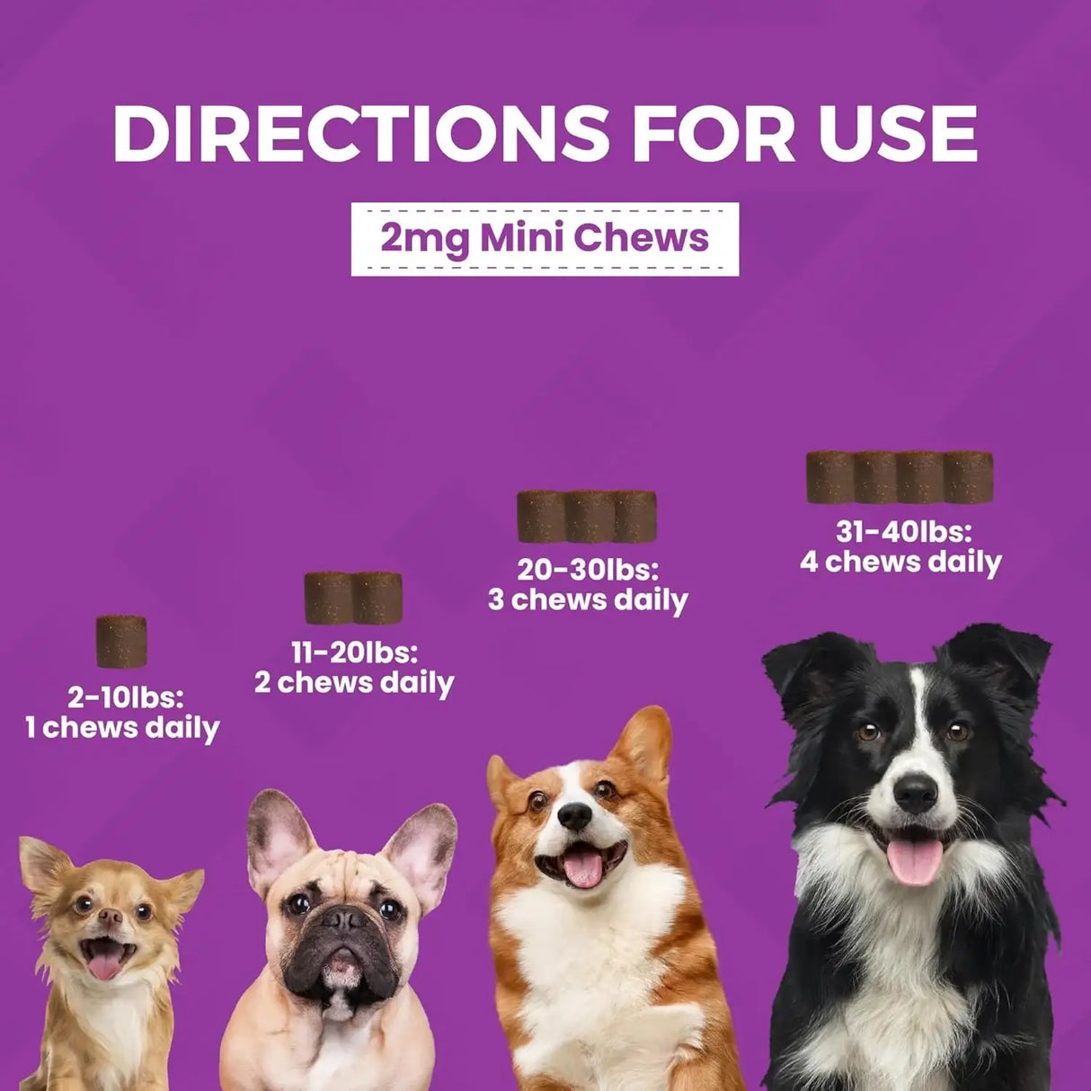 NOOTIE - Nootie Progility Mini Calming Aid Chews for Dogs 60 Masticables - The Red Vitamin MX - Relajantes Para Perros - {{ shop.shopifyCountryName }}