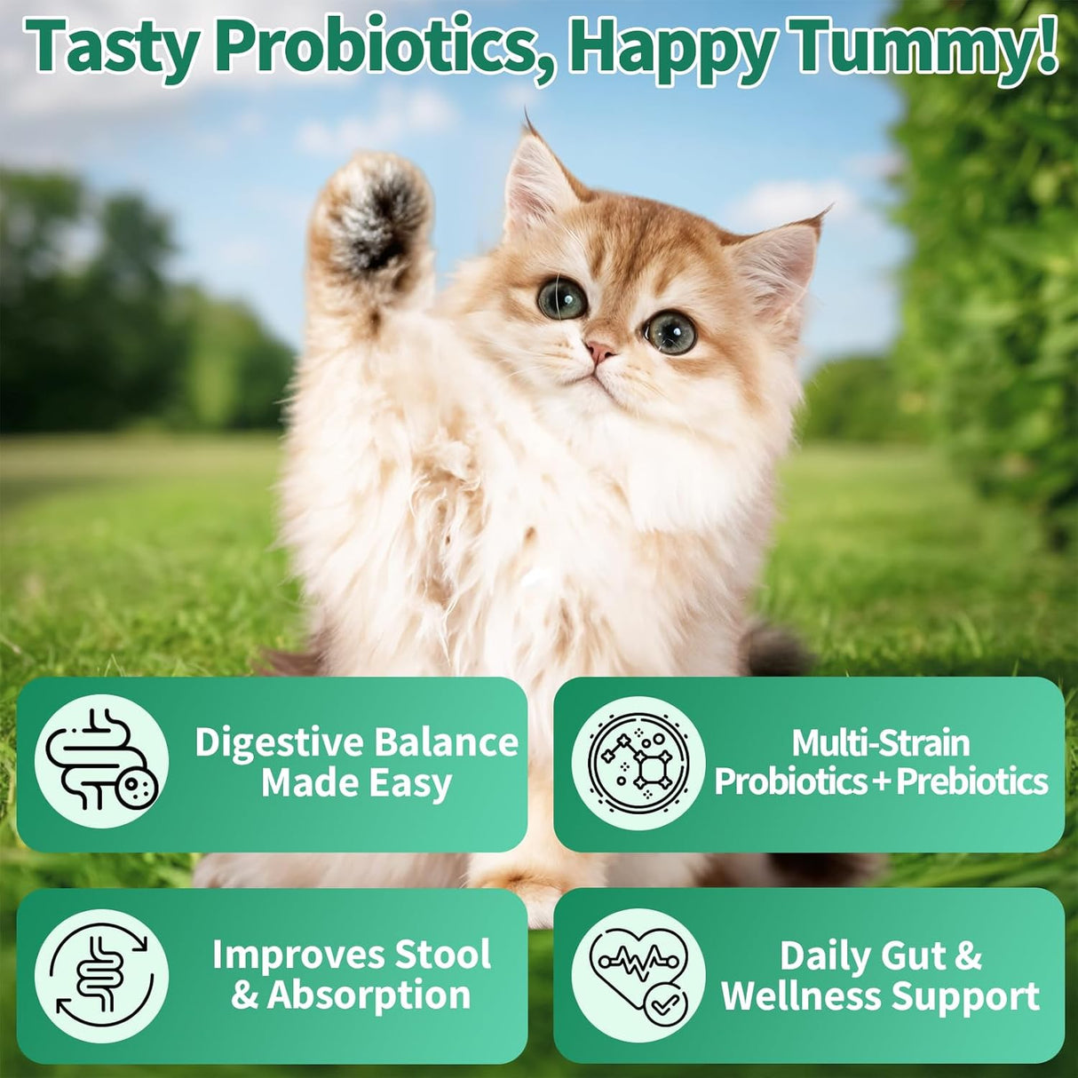 Cudory Cat Probiotics Tasty Chews for Digestive & Gut Support 500 Masticables