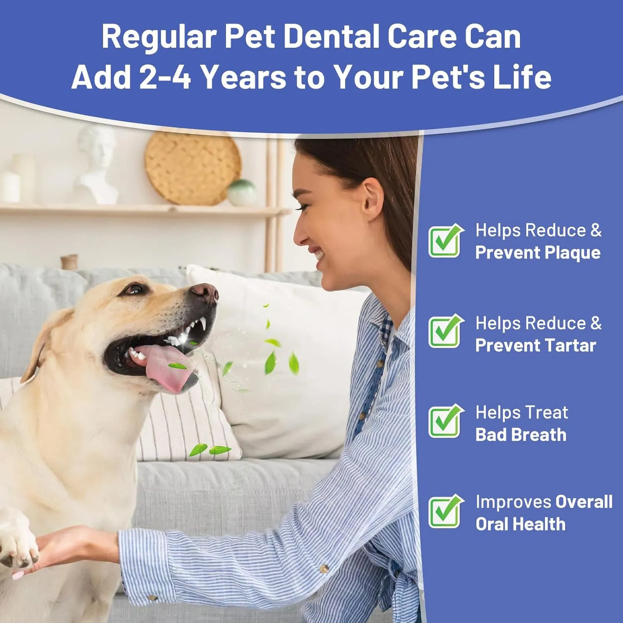 COLEAZE - ColEaze Dog Teeth Cleaning Powder 180Gr. - The Red Vitamin MX - Cuidado Dental Para Perros - {{ shop.shopifyCountryName }}