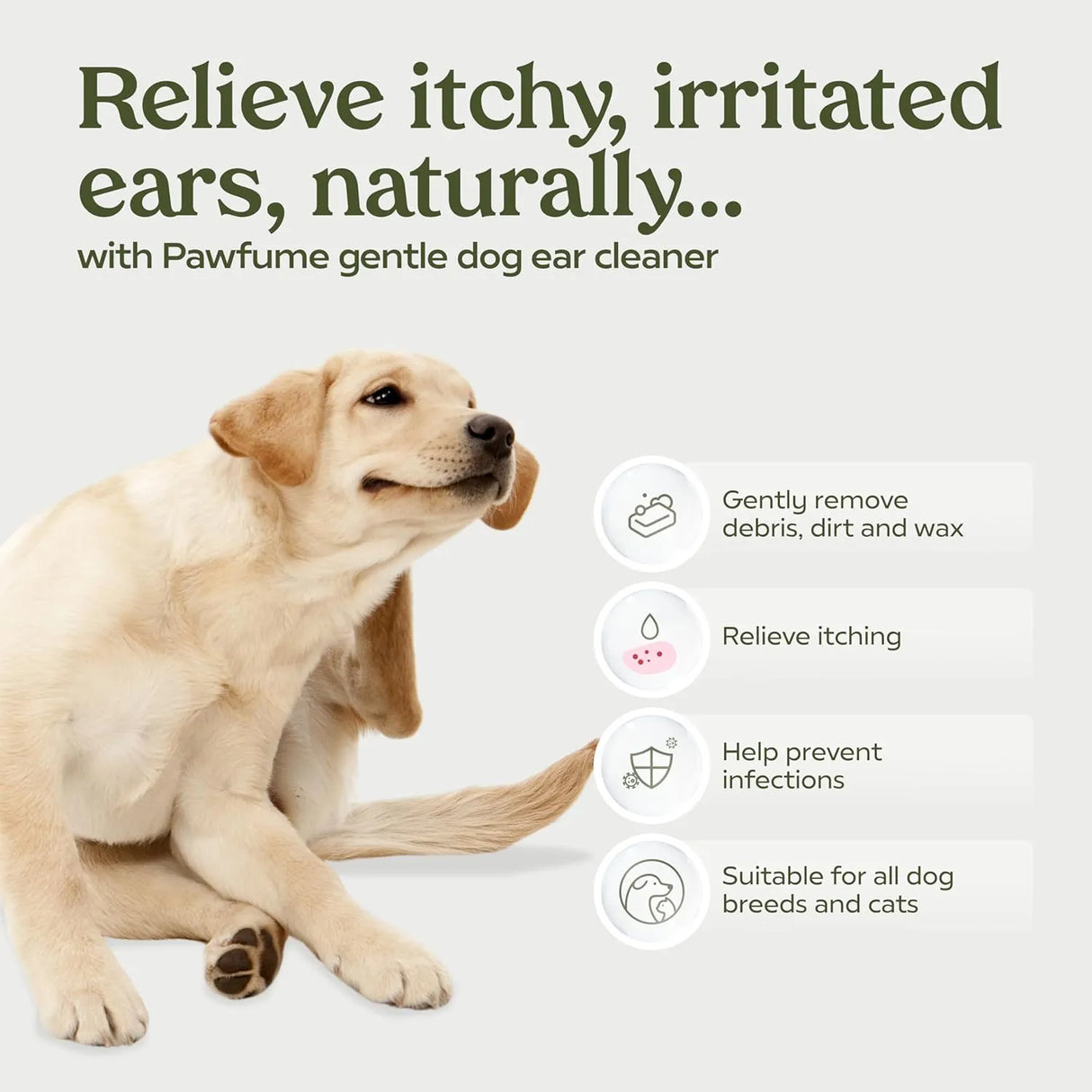 PAWFUME - Pawfume Dog Ear Cleaner Solution 8 Fl.Oz. - The Red Vitamin MX - Cuidado Del Oído De Perros - {{ shop.shopifyCountryName }}