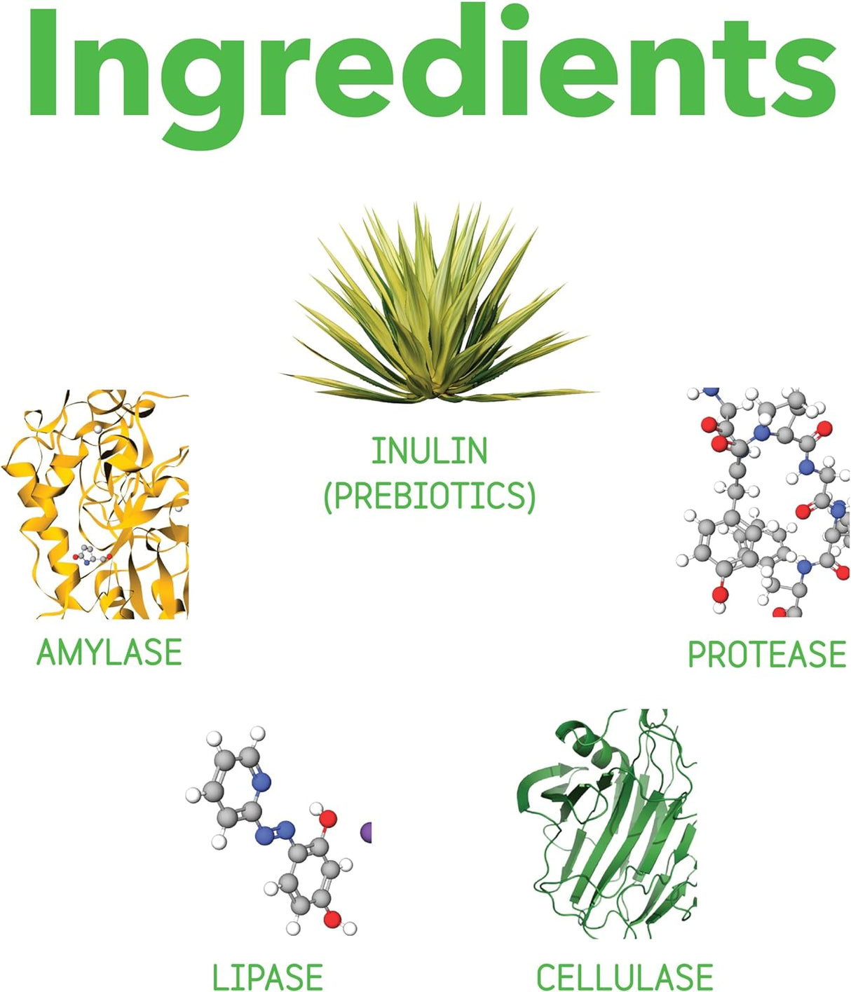 InClover Optagest Natural Digestive Aid 100Gr.