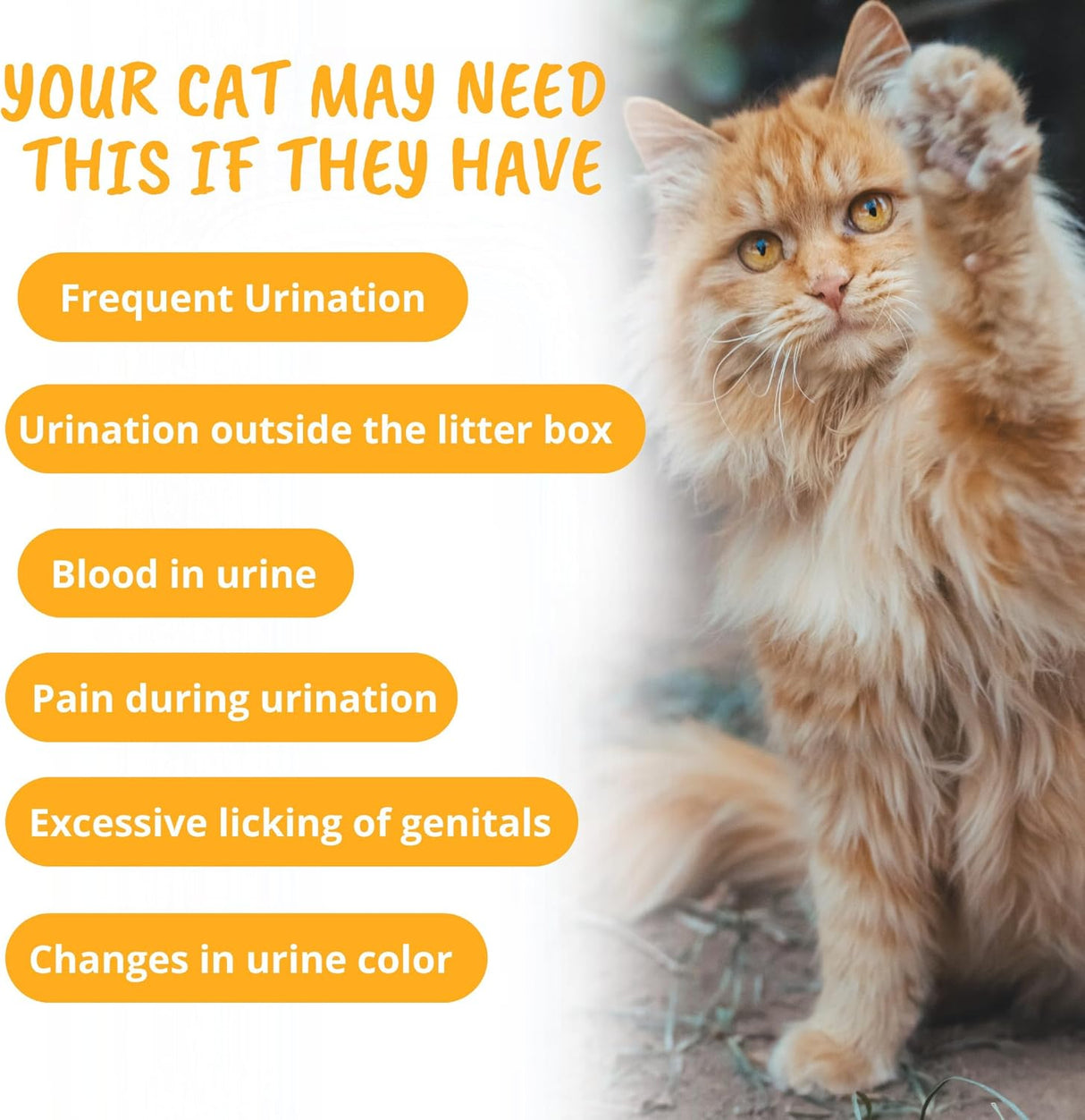 Under The Weather Pet Urinary Tract Support Chews for Cats 60 Masticables