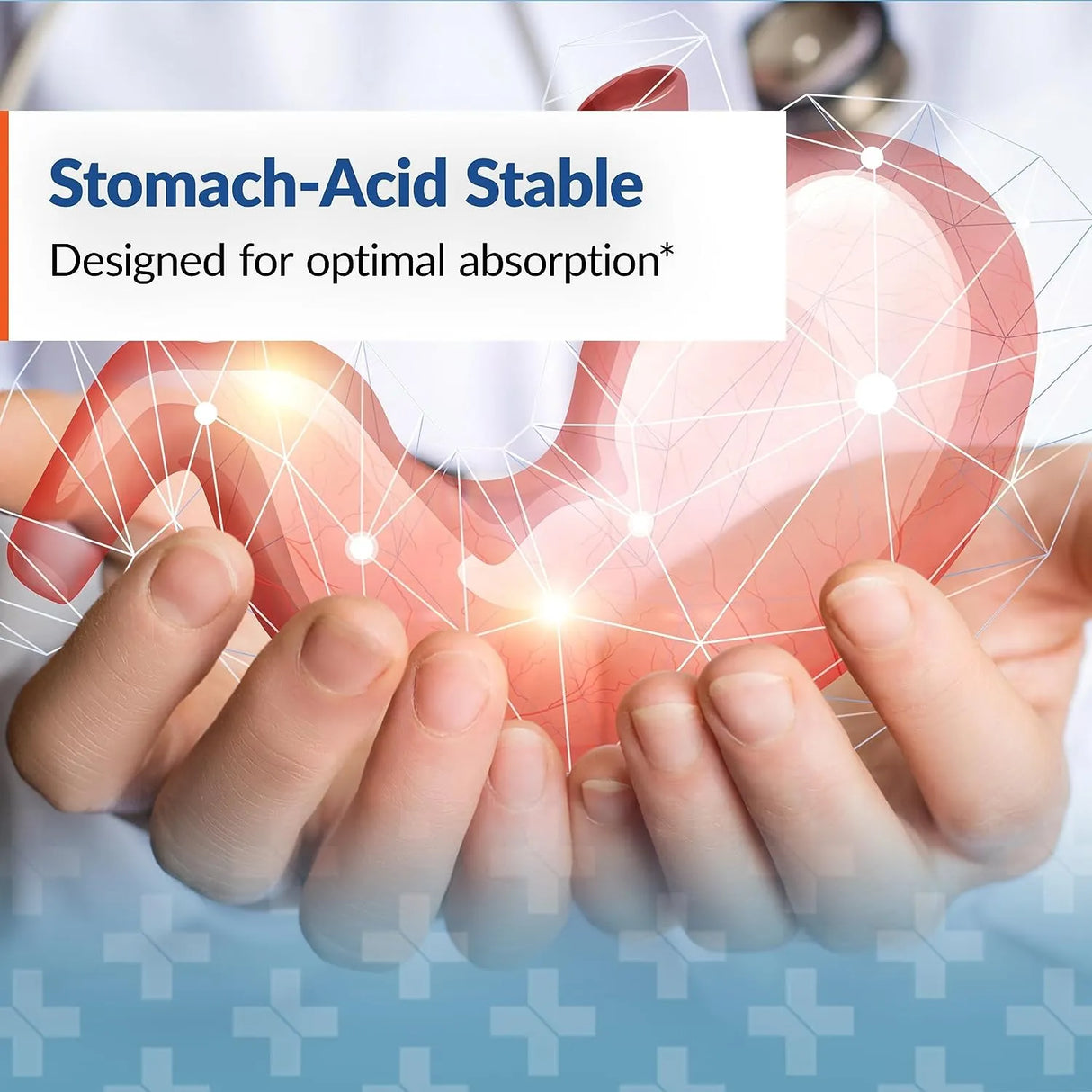 ARTHUR ANDREW - Arthur Andrew Medical Nattovena Pure Nattokinase 30 Capsulas - The Red Vitamin MX - Suplementos Alimenticios - {{ shop.shopifyCountryName }}