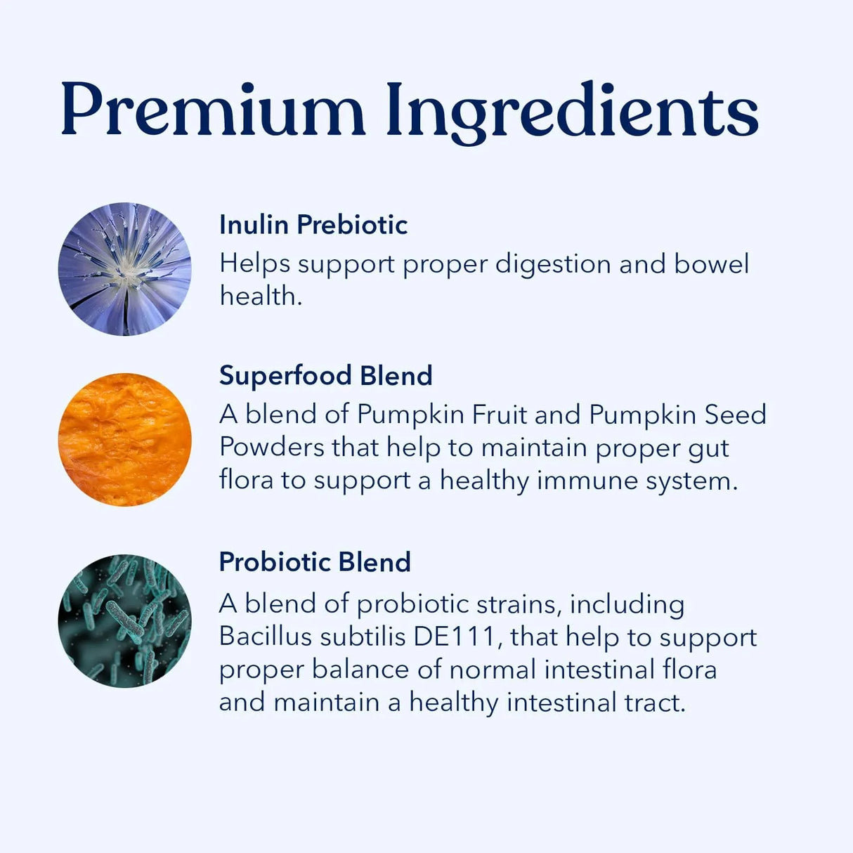 HONEST PAWS - Honest Paws Premium Probiotic Powder Pumpkin 30 Paquetes - The Red Vitamin MX - Probióticos Para Perros - {{ shop.shopifyCountryName }}