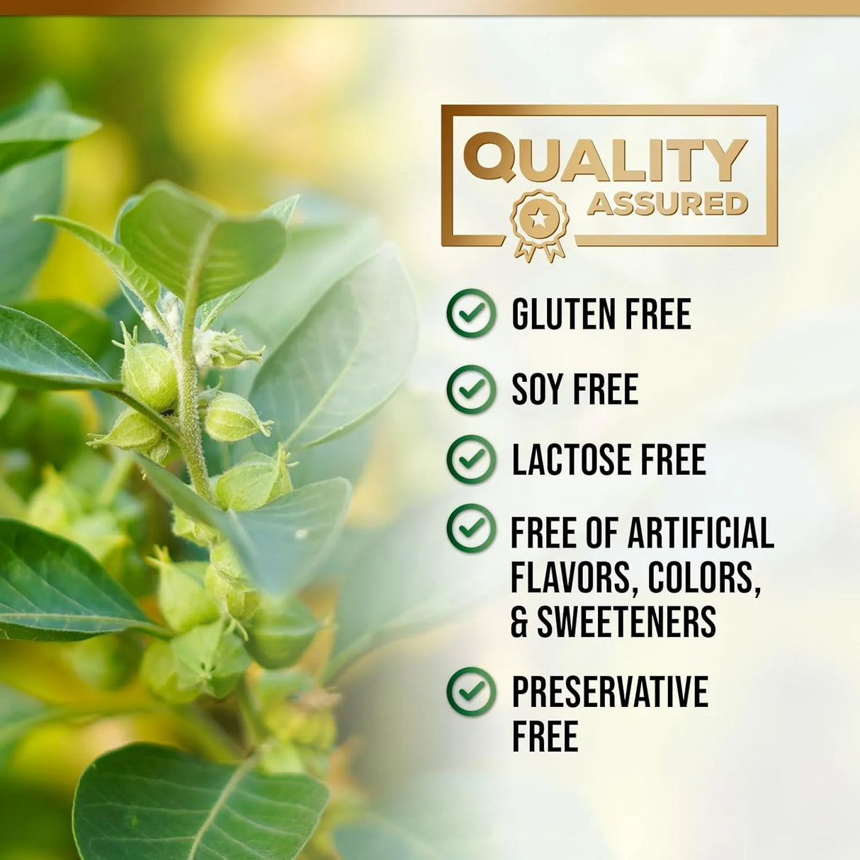 NATURE'S NUTRITION - Nature's Nutrition Adrenal Support 60 Capsulas - The Red Vitamin MX - Suplementos Alimenticios - {{ shop.shopifyCountryName }}