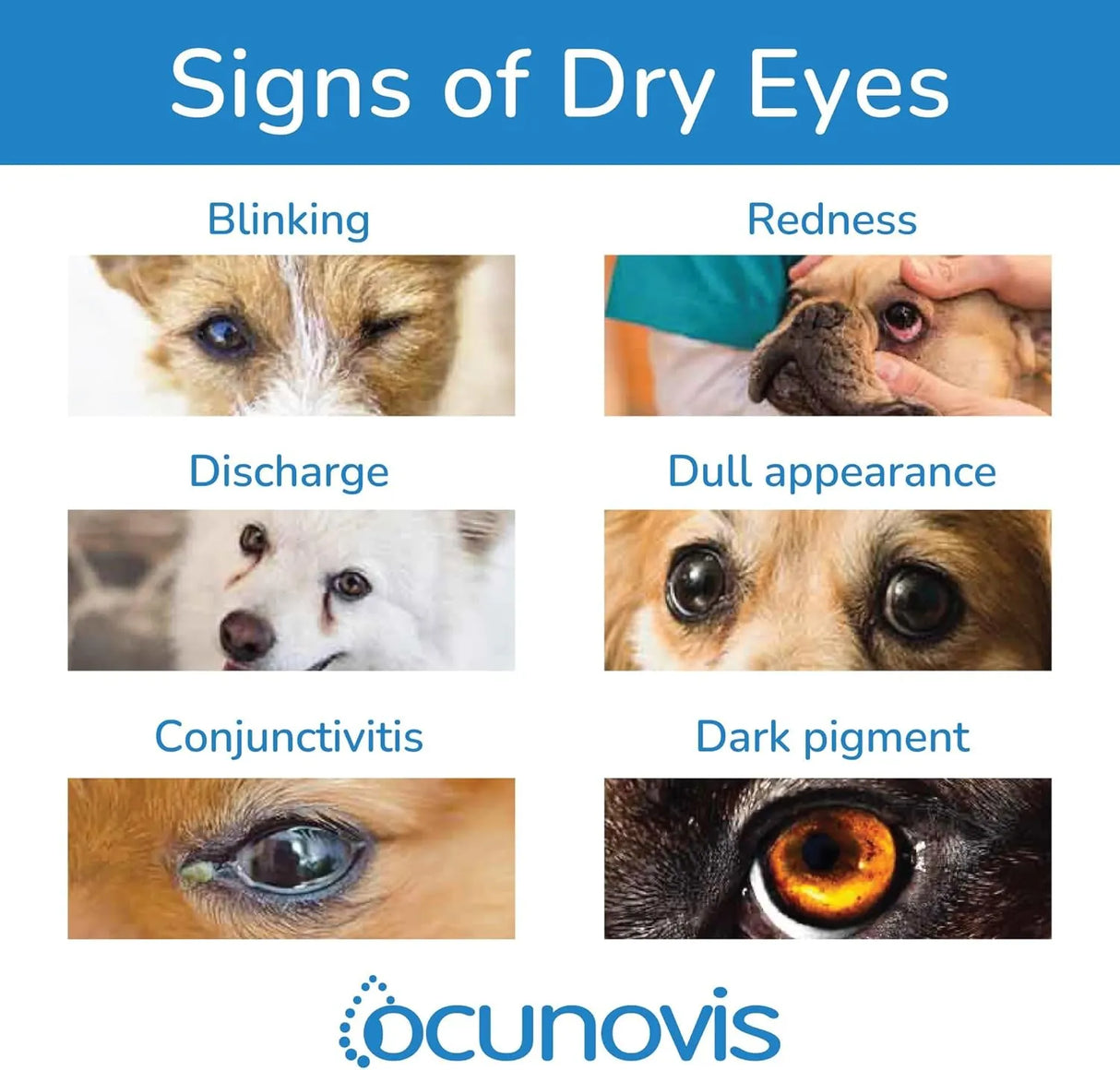 SENTRX - Sentrx Ocunovis Gel Eye Drops for Dogs & Cats 10Ml. - The Red Vitamin MX - Cuidado De Los Ojos De Los Perros - {{ shop.shopifyCountryName }}