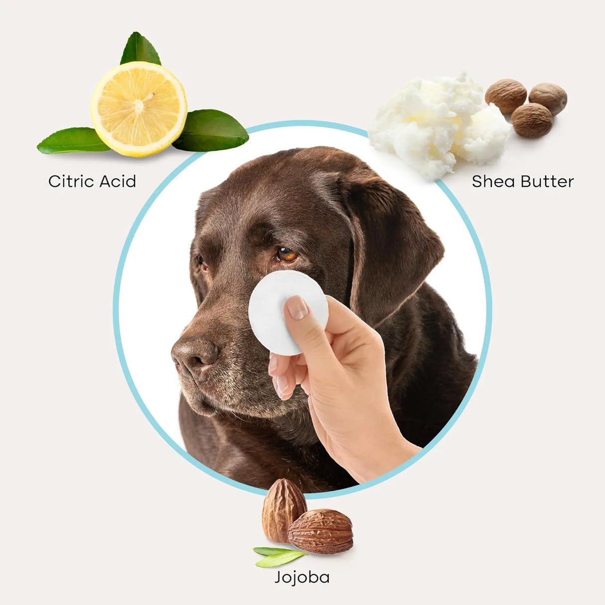 UPROOT - Uproot Clean Cat & Dog Eye Wipes: Hypoallergenic Eye Wipes for Dogs 100 Toallitas - The Red Vitamin MX - Cuidado De Los Ojos De Los Perros - {{ shop.shopifyCountryName }}