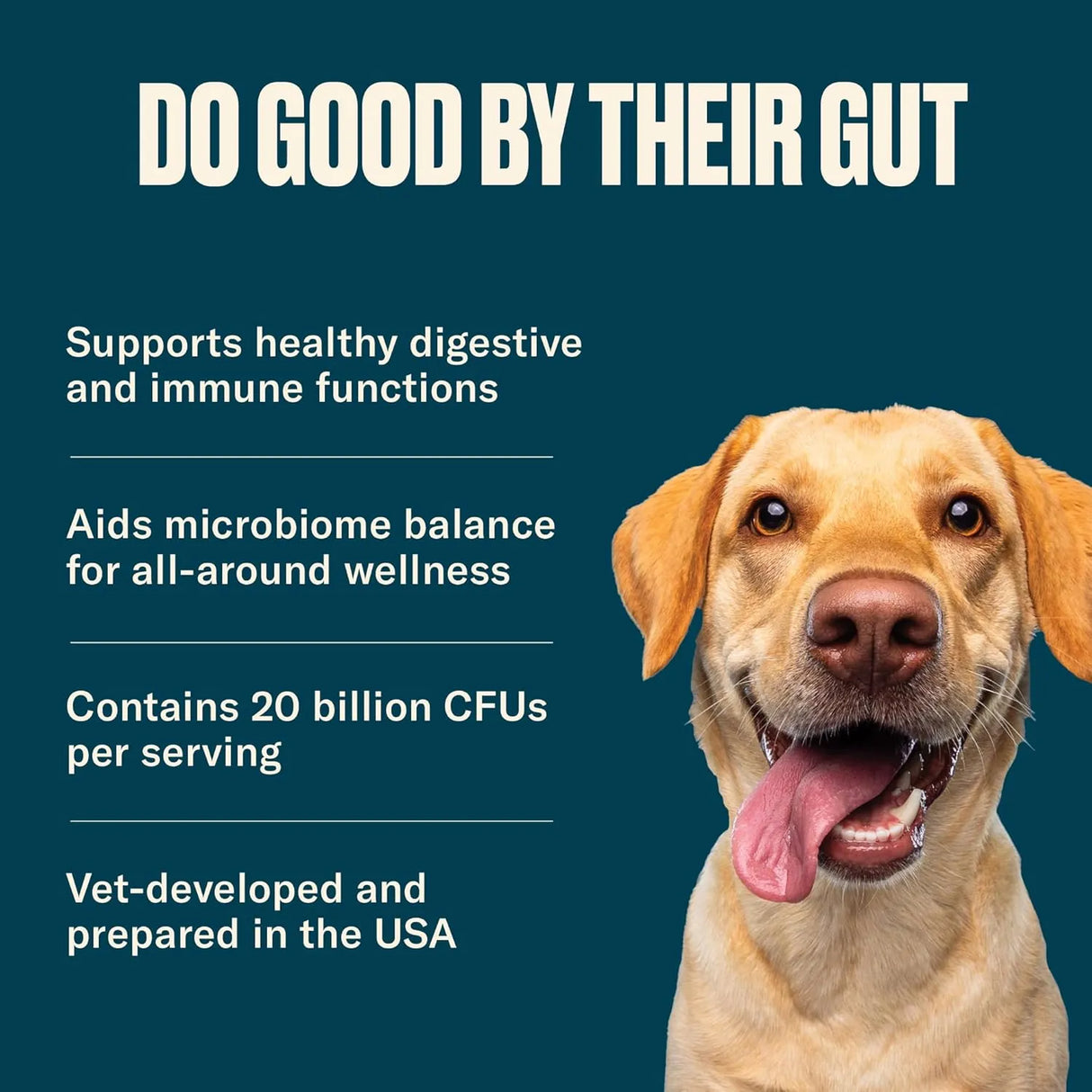 NOMNOMNOW - Nom Nom Dog Full Spectrum Probiotic Support 60Gr. - The Red Vitamin MX - Probióticos Para Perros - {{ shop.shopifyCountryName }}