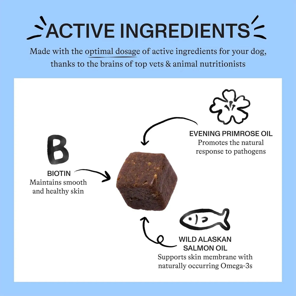 SPOT & TANGO - Spot & Tango Allergy + Immune Supplement for Dogs 56 Masticables - The Red Vitamin MX - Remedios Para La Picazón De Perros - {{ shop.shopifyCountryName }}