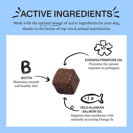 SPOT & TANGO - Spot & Tango Allergy + Immune Supplement for Dogs 56 Masticables - The Red Vitamin MX - Remedios Para La Picazón De Perros - {{ shop.shopifyCountryName }}