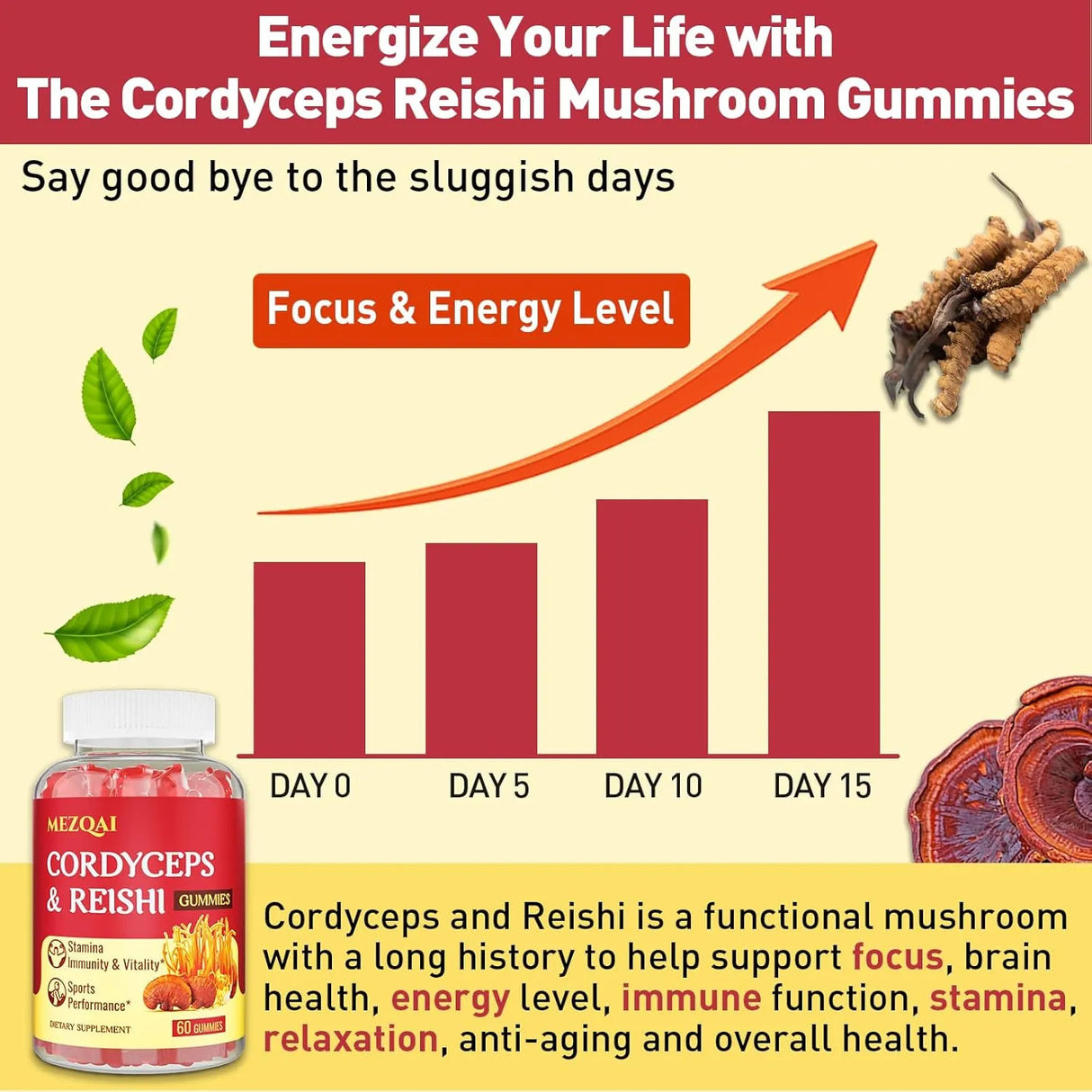MEZQAI - Mezqai Cordyceps Reishi Mushroom Gummies 60 Gomitas - The Red Vitamin MX - Suplementos Alimenticios - {{ shop.shopifyCountryName }}