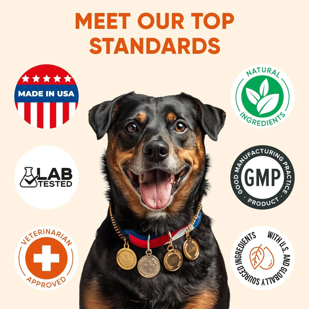 PAWZITIVE PETS - Pawzitive Pets Dog Multivitamin Chews 120 Masticables - The Red Vitamin MX - Multivitamínicos Para Perros - {{ shop.shopifyCountryName }}