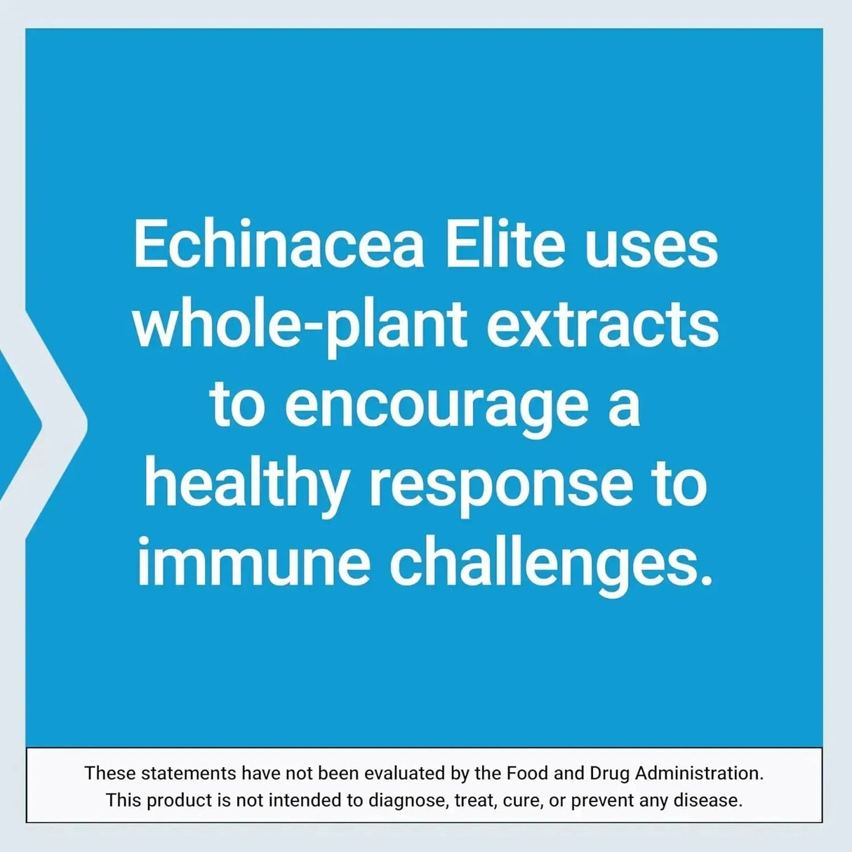 LIFE EXTENSION - Life Extension Echinacea Elite 60 Capsulas - The Red Vitamin MX - Suplementos Alimenticios - {{ shop.shopifyCountryName }}