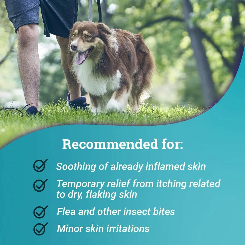 ELANCO - Elanco Relief Shampoo 8 Fl.Oz. - The Red Vitamin MX - Remedios Para La Picazón De Perros - {{ shop.shopifyCountryName }}