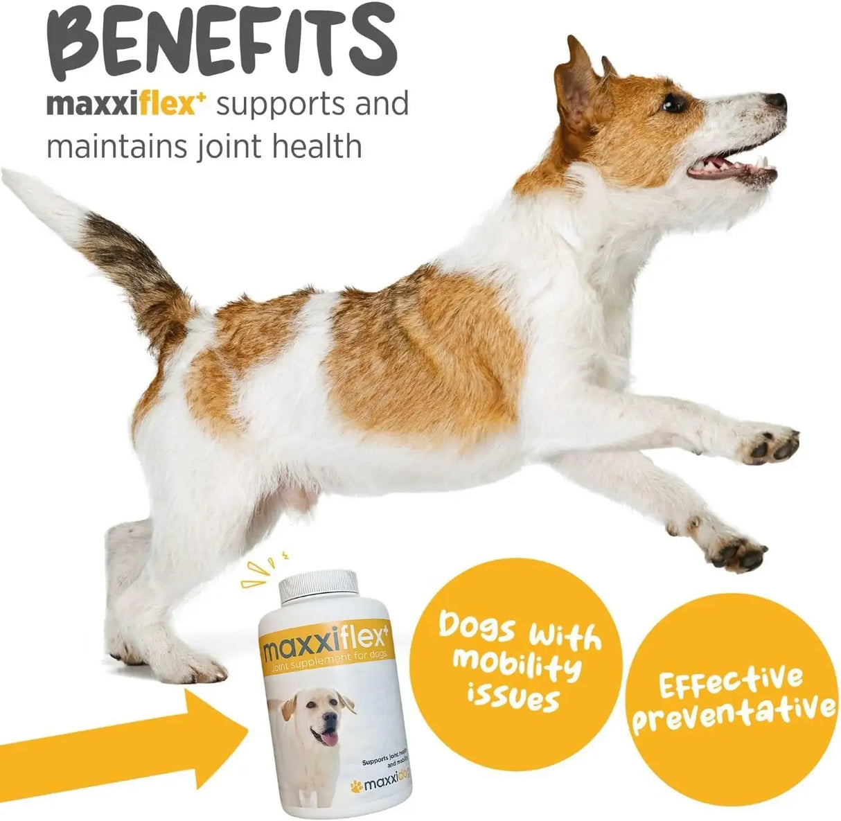 MAXXIPAWS - maxxipaws maxxiflex+ Hip & Joint Supplement for Dogs 60 Tabletas - The Red Vitamin MX - Cuidado De Cadera Y Articulaciones Para Perros - {{ shop.shopifyCountryName }}