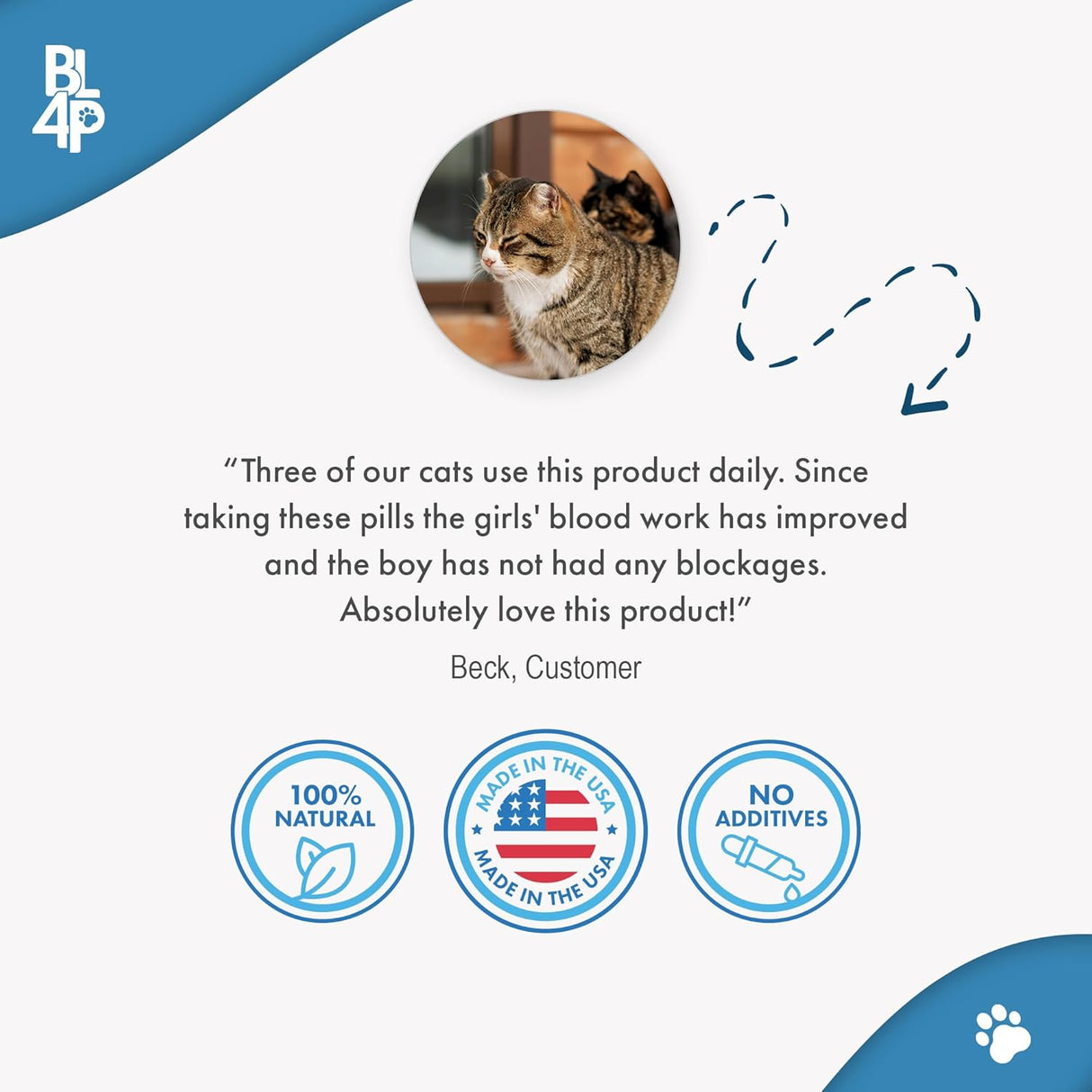 BestLife4Pets Cat UTI Remedy & Kidney Support for Cats 400 Tabletas