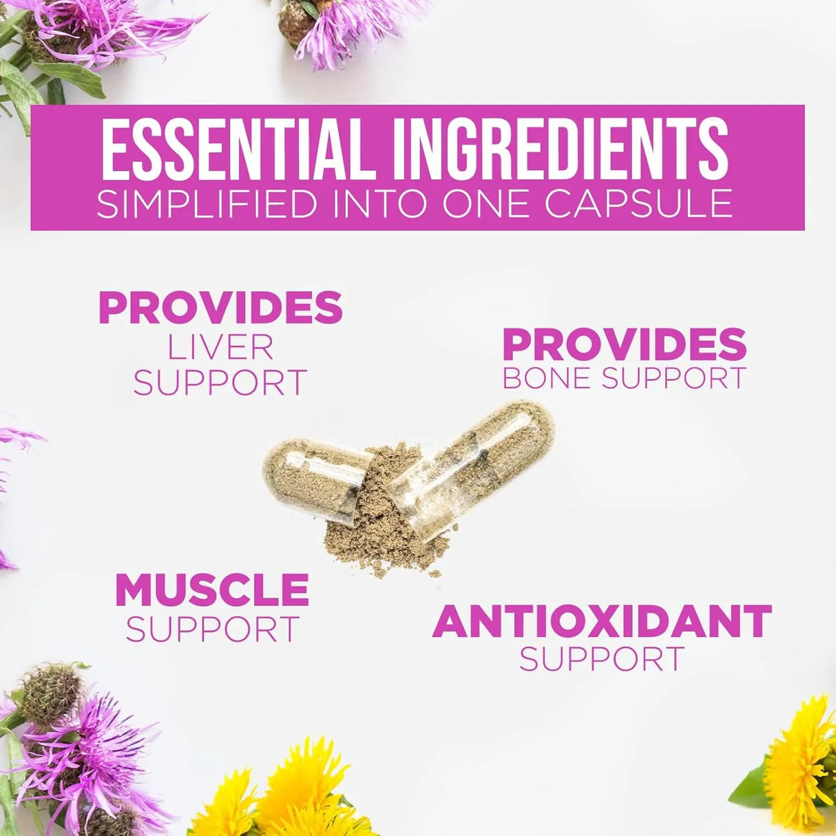 HEALTH NUTRITION NATURALS - Health Nutrition Naturals Milk Thistle Extract 1000Mg. 60 Capsulas - The Red Vitamin MX - Suplementos Alimenticios - {{ shop.shopifyCountryName }}