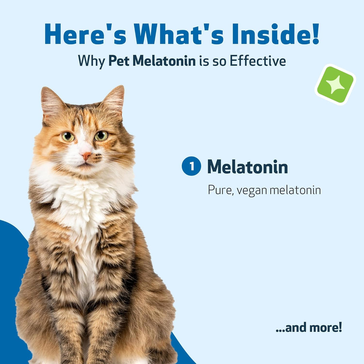 Pet Wellbeing Pet Melatonin for Cats 2 Fl.Oz.